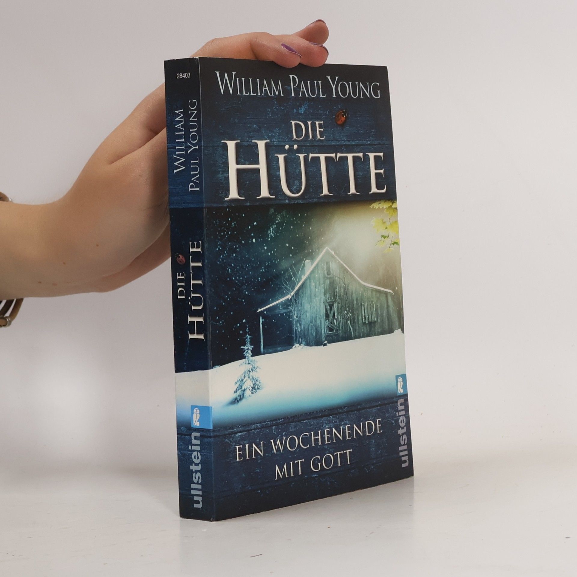 William P. Young Die Hütte