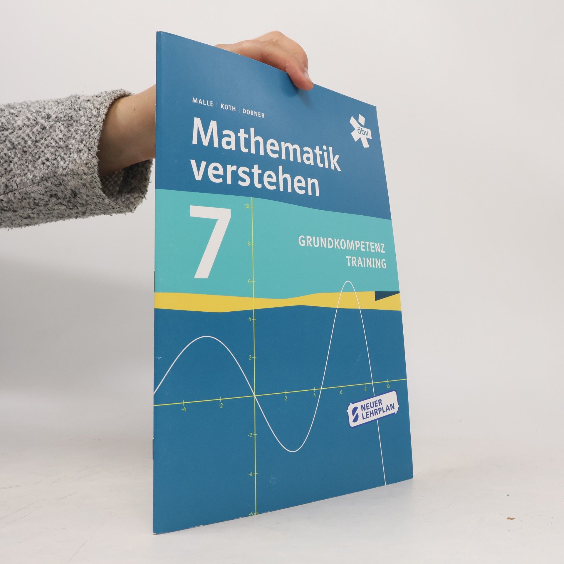 Günther Malle Mathematik verstehen