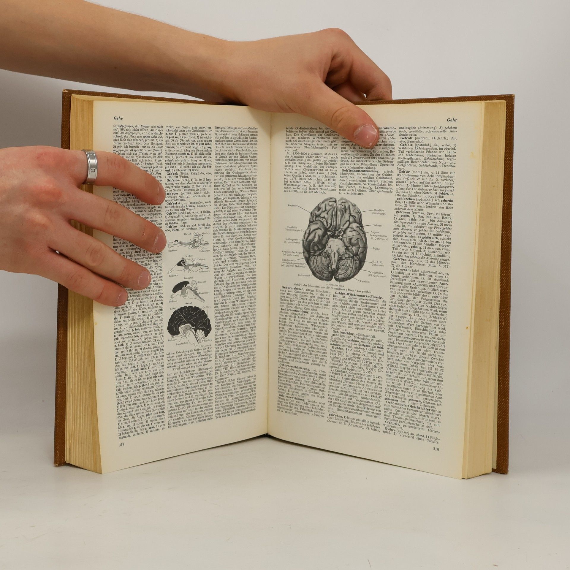 Autorenkollektiv Der neue Brockhaus 2. E-I
