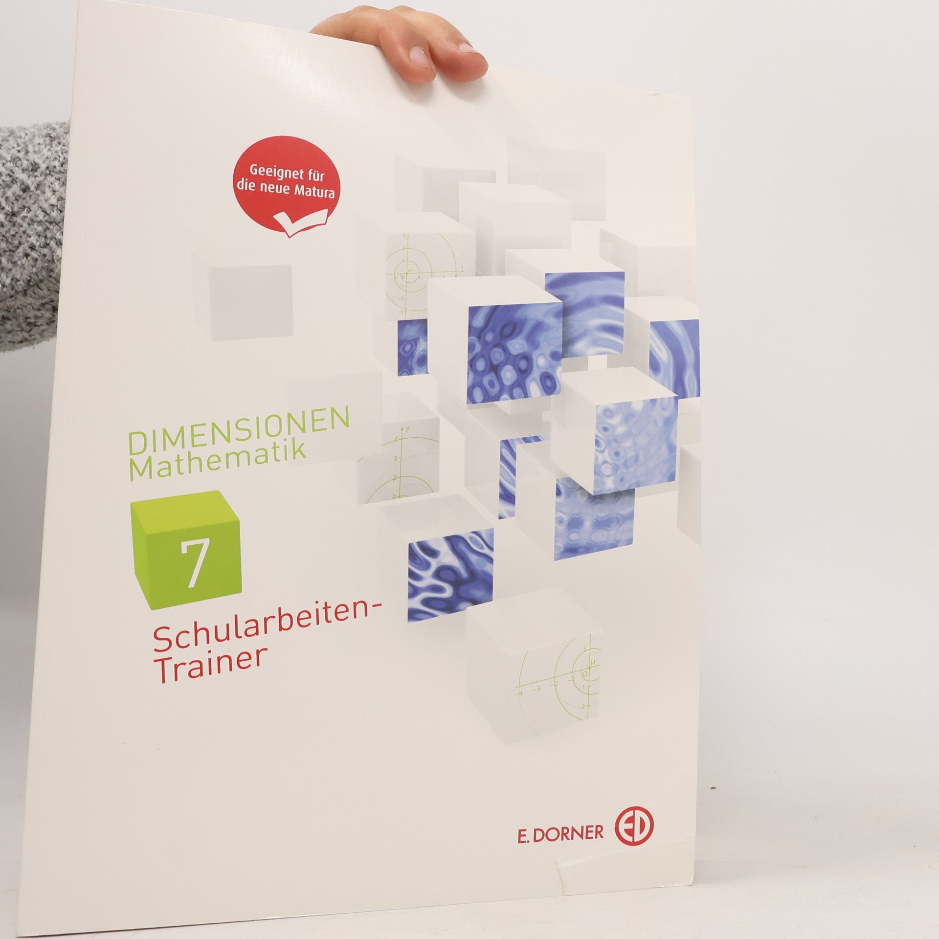 Evelyn Süss-Stepancik Dimensionen Mathematik