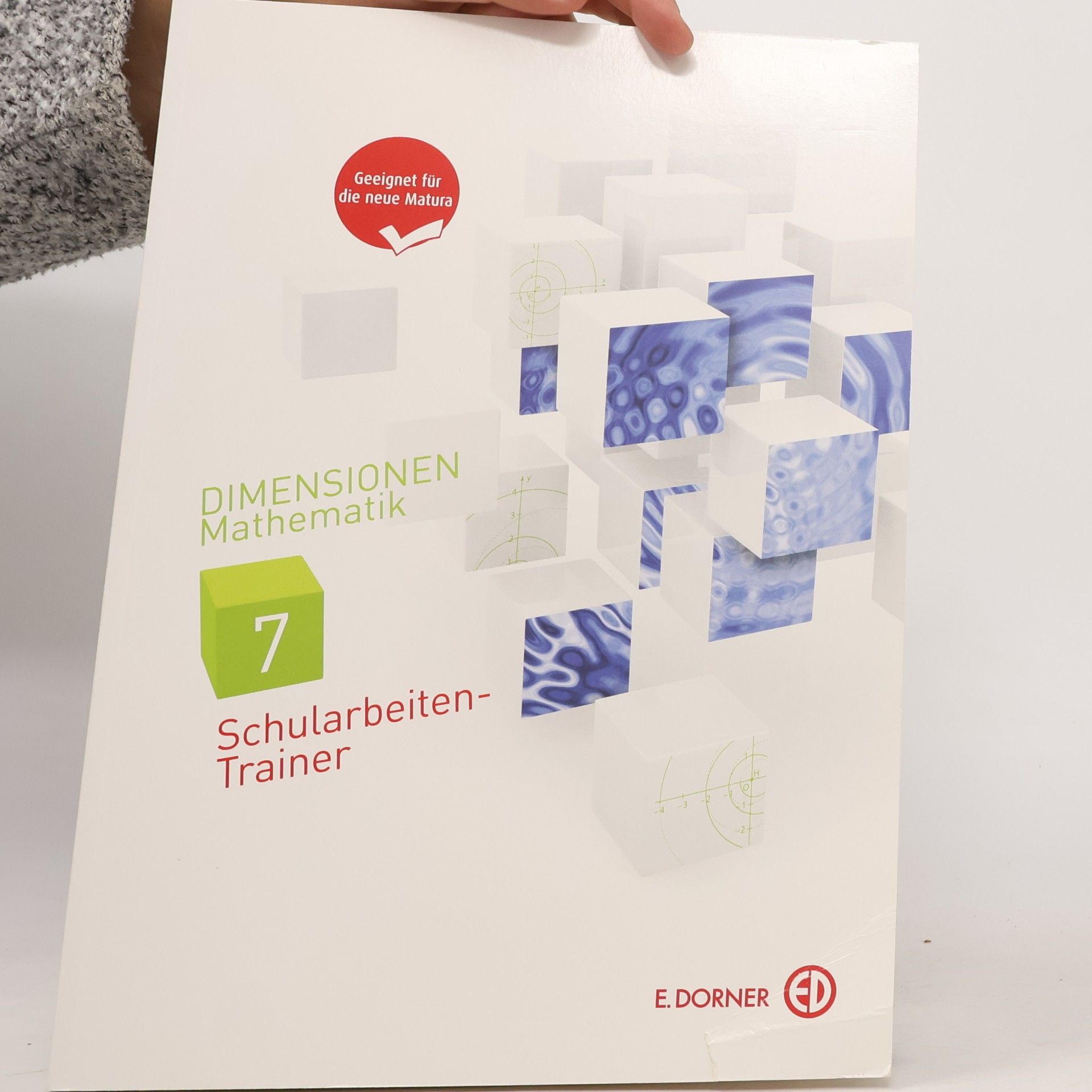 Walter Mayer Dimensionen Mathematik