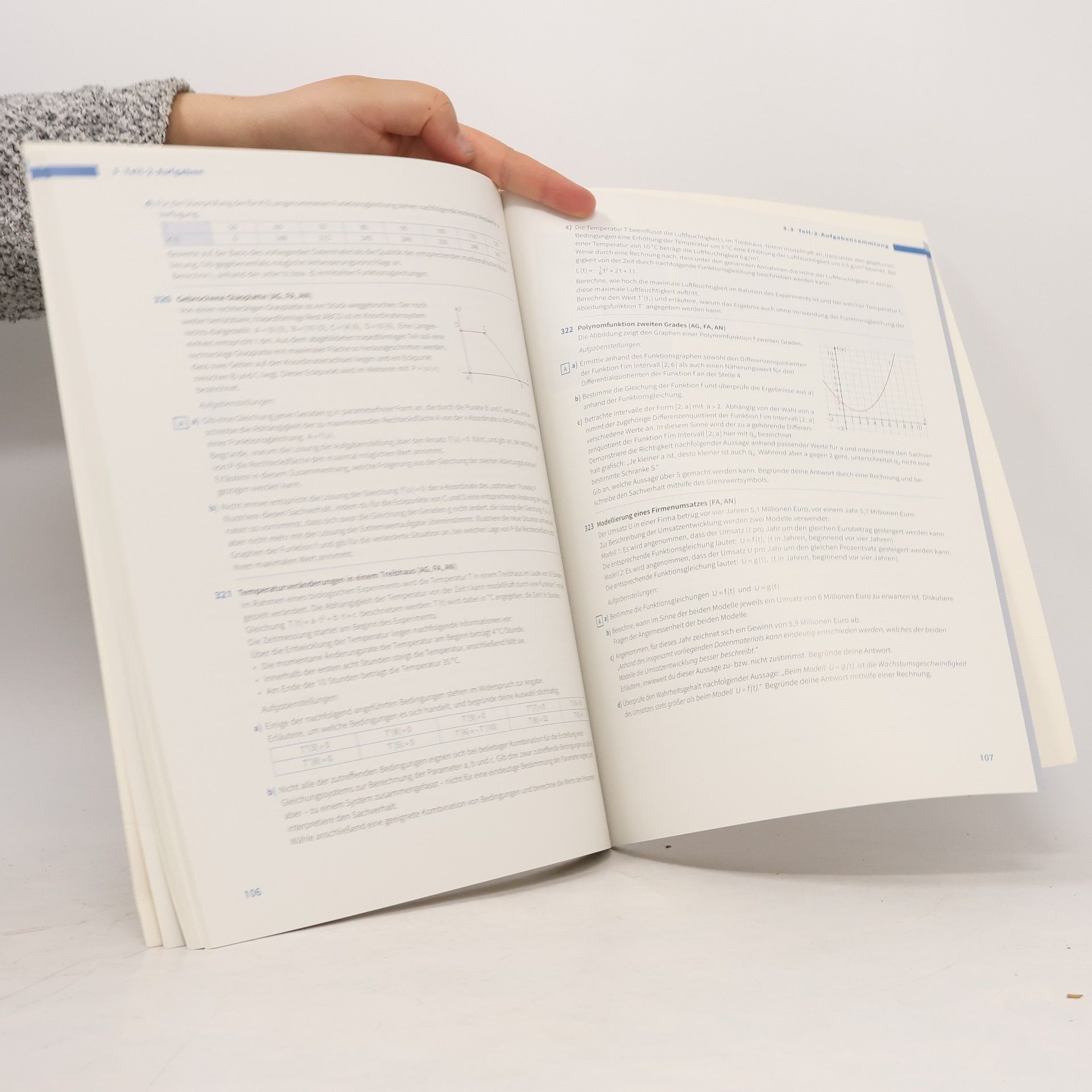 Walter Mayer Dimensionen Mathematik