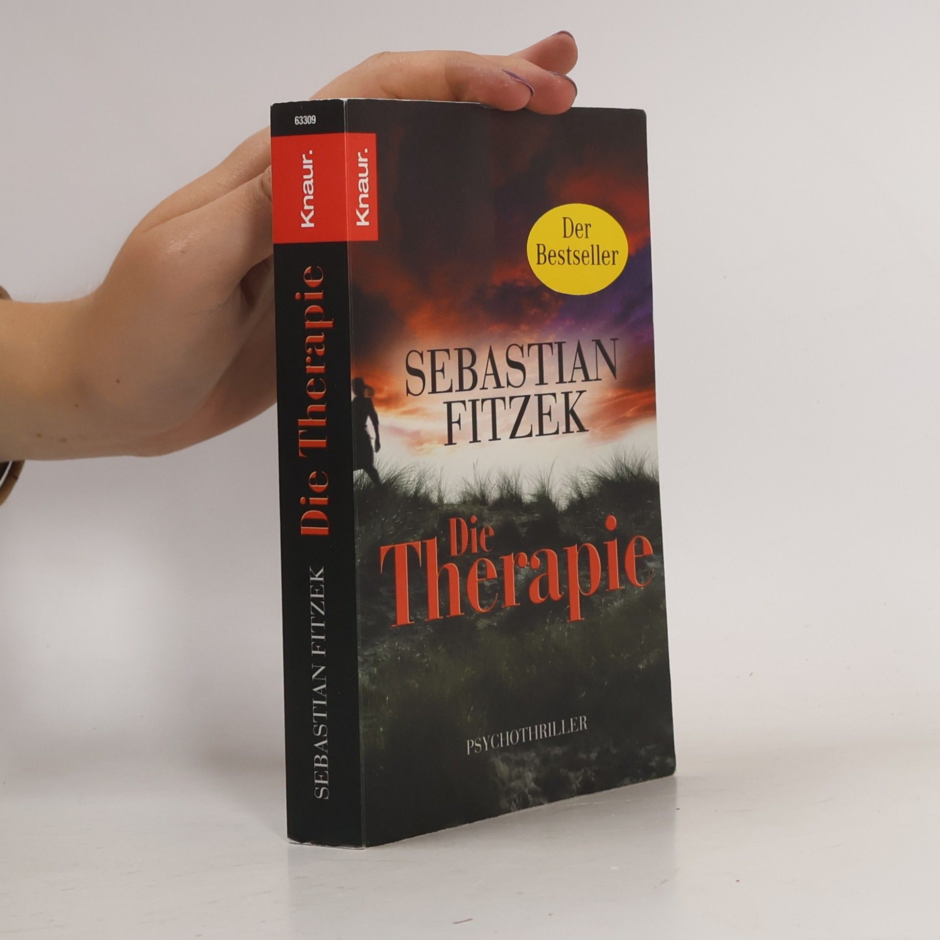 Sebastian Fitzek Die Therapie