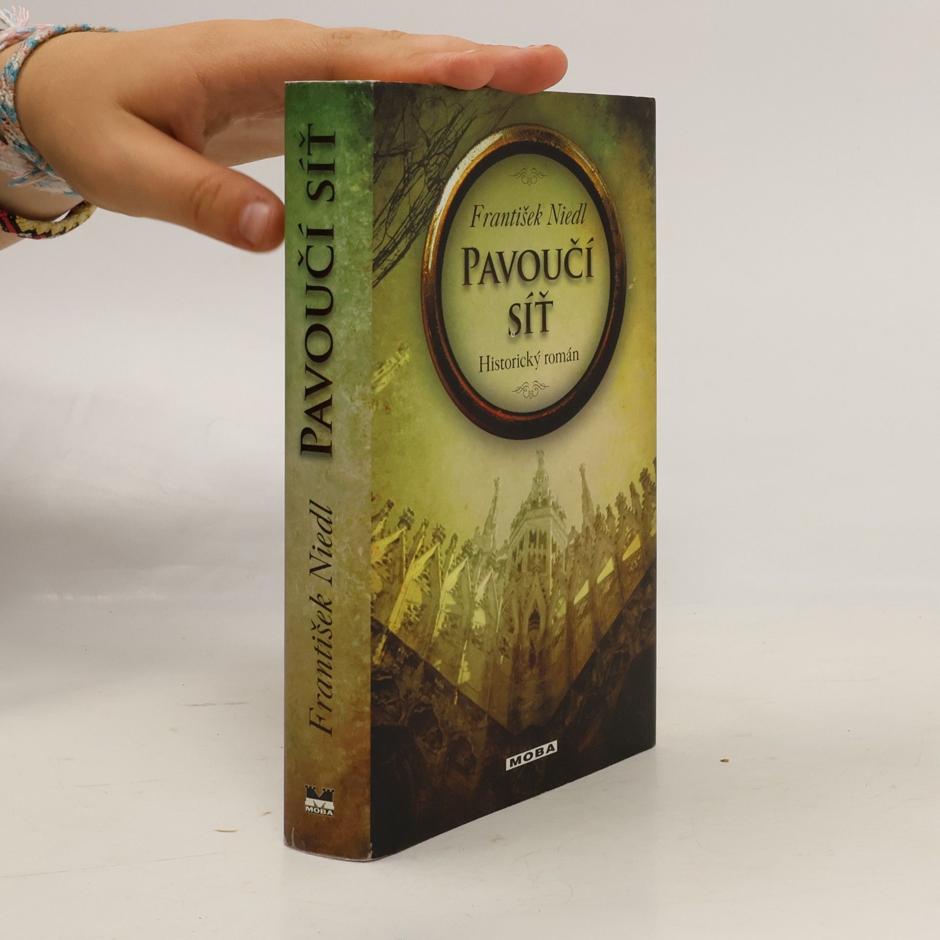 František Niedl Pavoučí síť : historický román