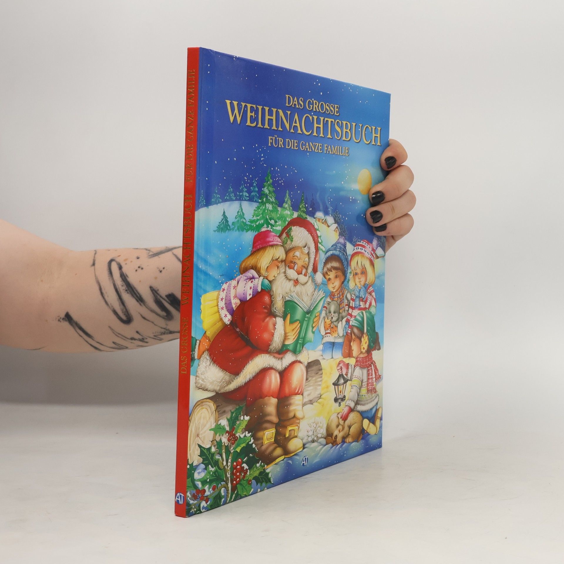 AA.VV. Das große Weihnachtsbuch für die ganze Familie