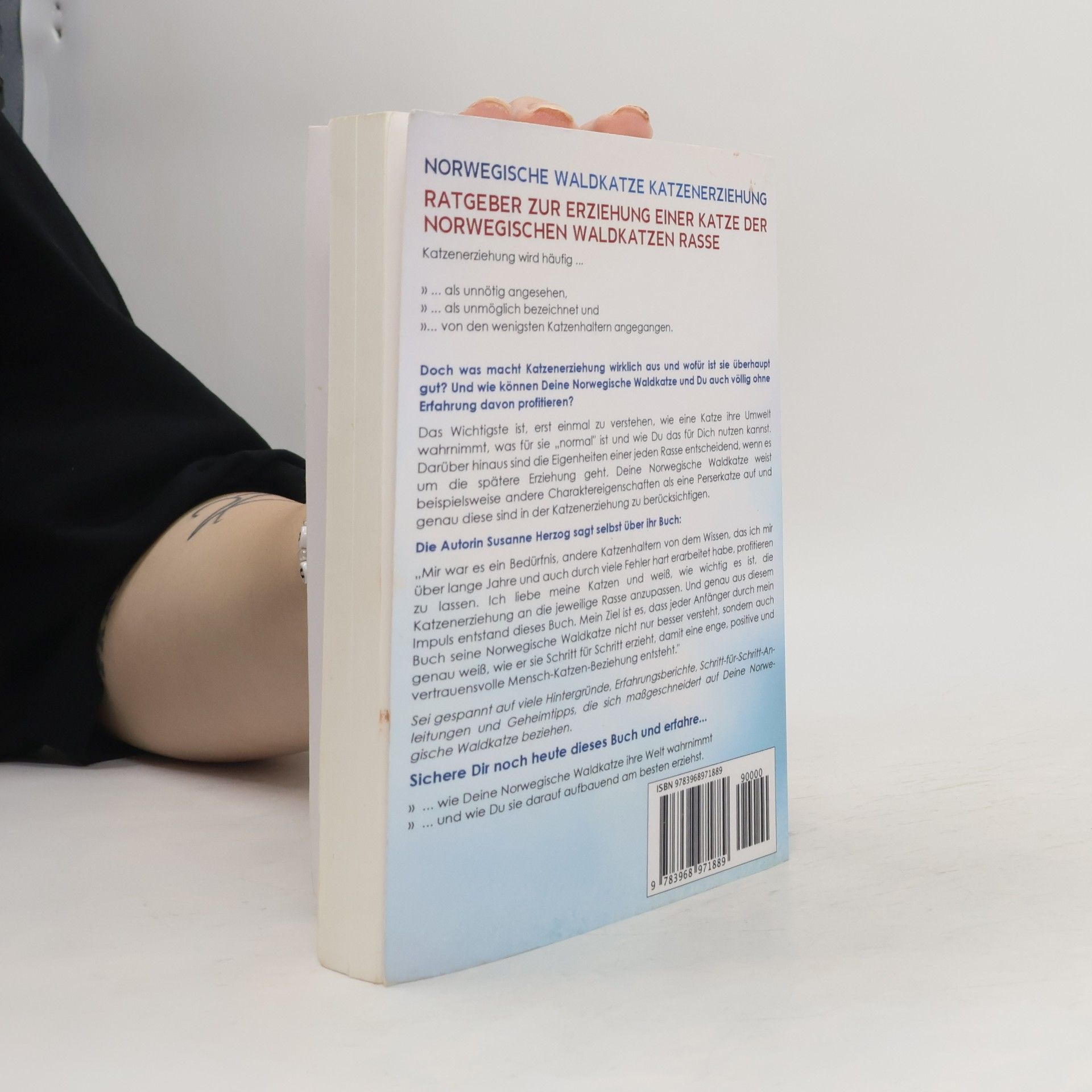 Susanne Herzog Norwegische Waldkatzen - 1: Norwegische Waldkatze Katzenerziehung – Ratgeber zur Erziehung einer Katze der Norwegischen Waldkatzen Rasse: Ein Buch für Katzenbabys, Kitten und junge Katzen