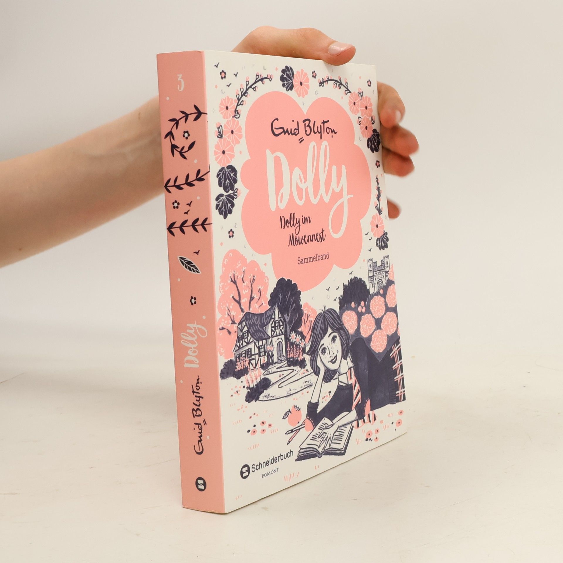 Enid Blyton Dolly im Möwennest