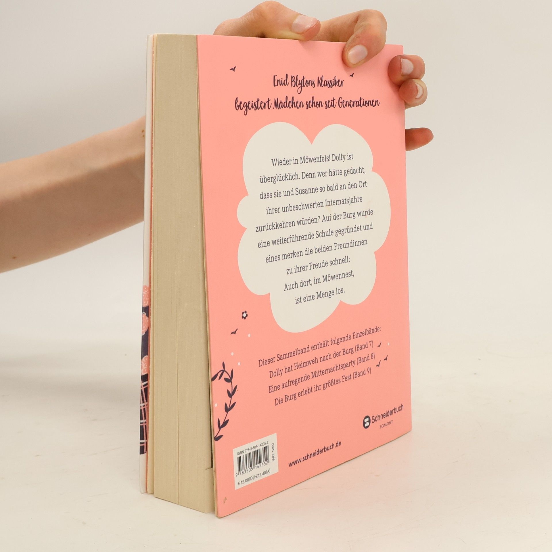 Enid Blyton Dolly im Möwennest
