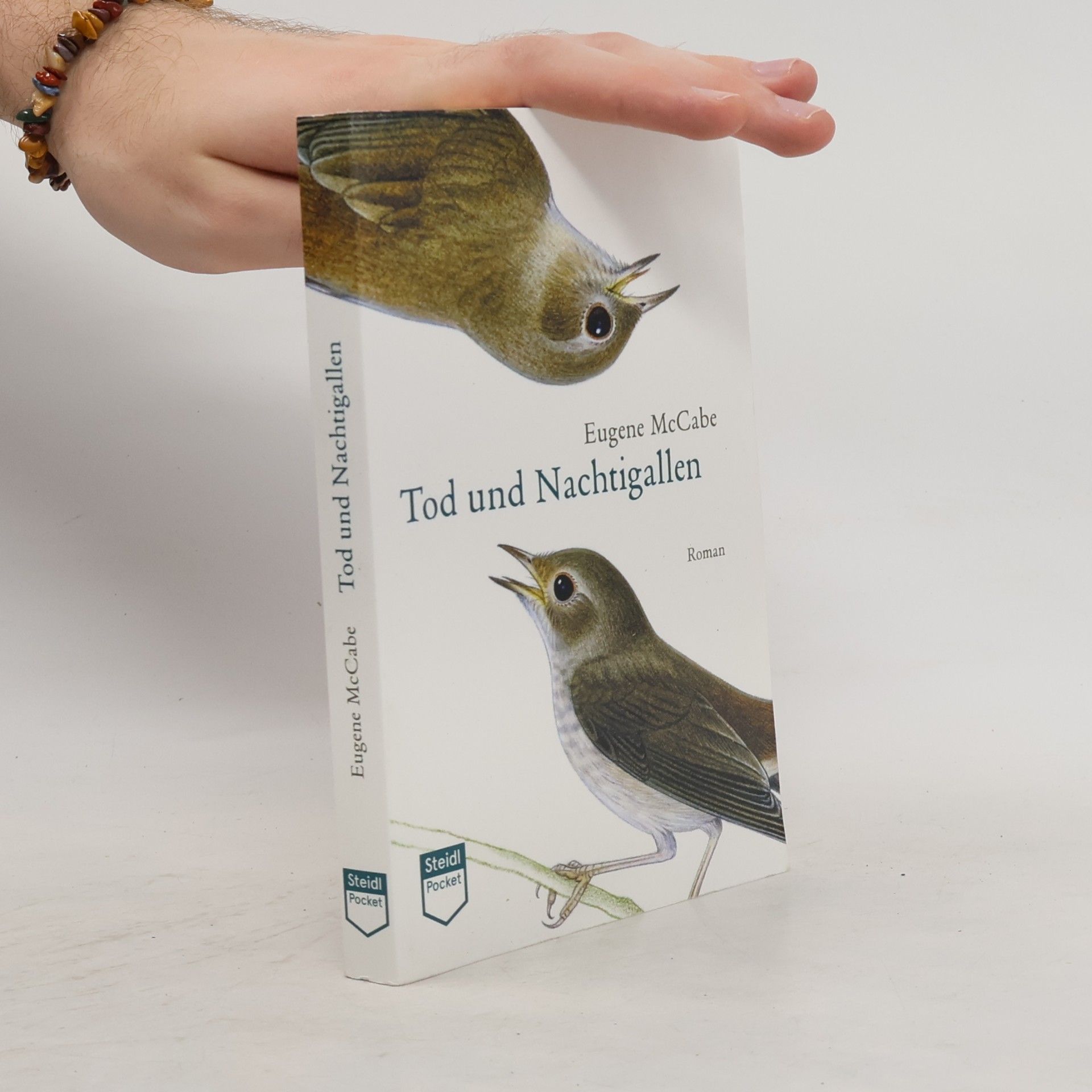 Eugene McCabe Tod und Nachtigallen (Steidl Pocket)