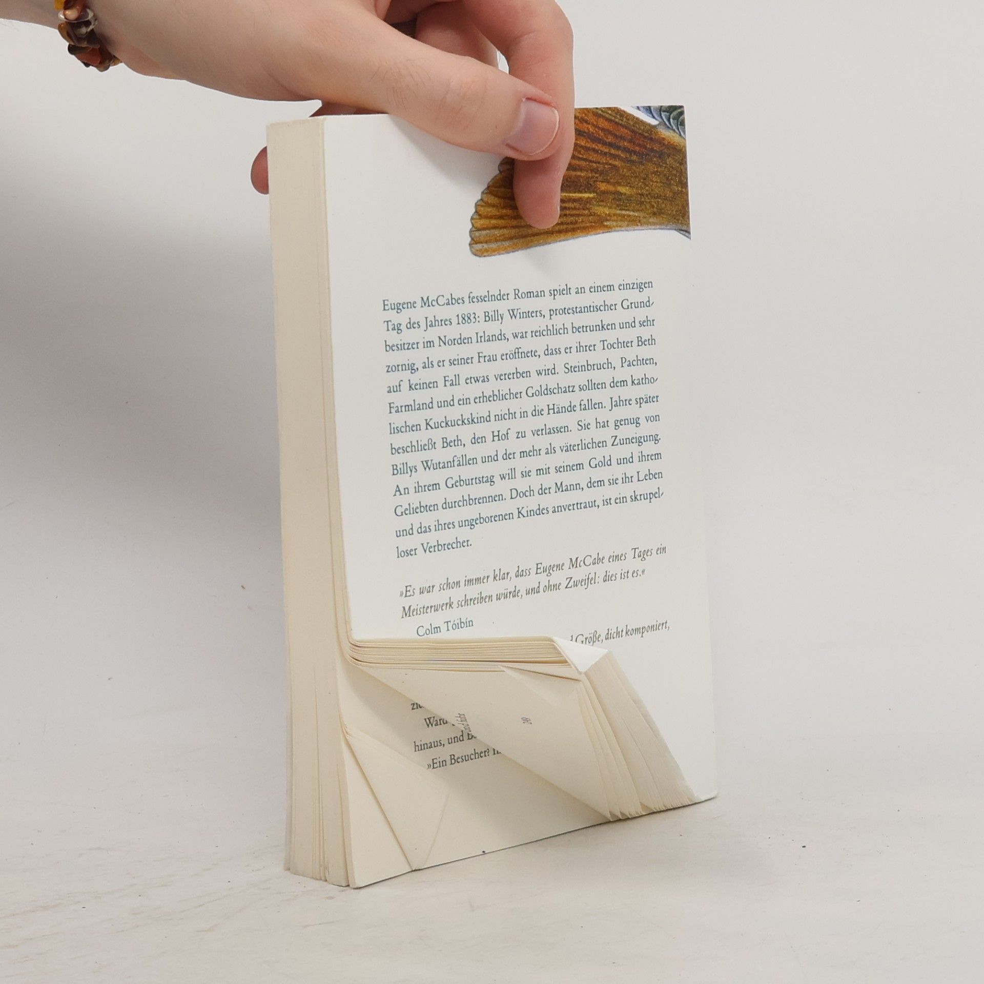 Eugene McCabe Tod und Nachtigallen (Steidl Pocket)