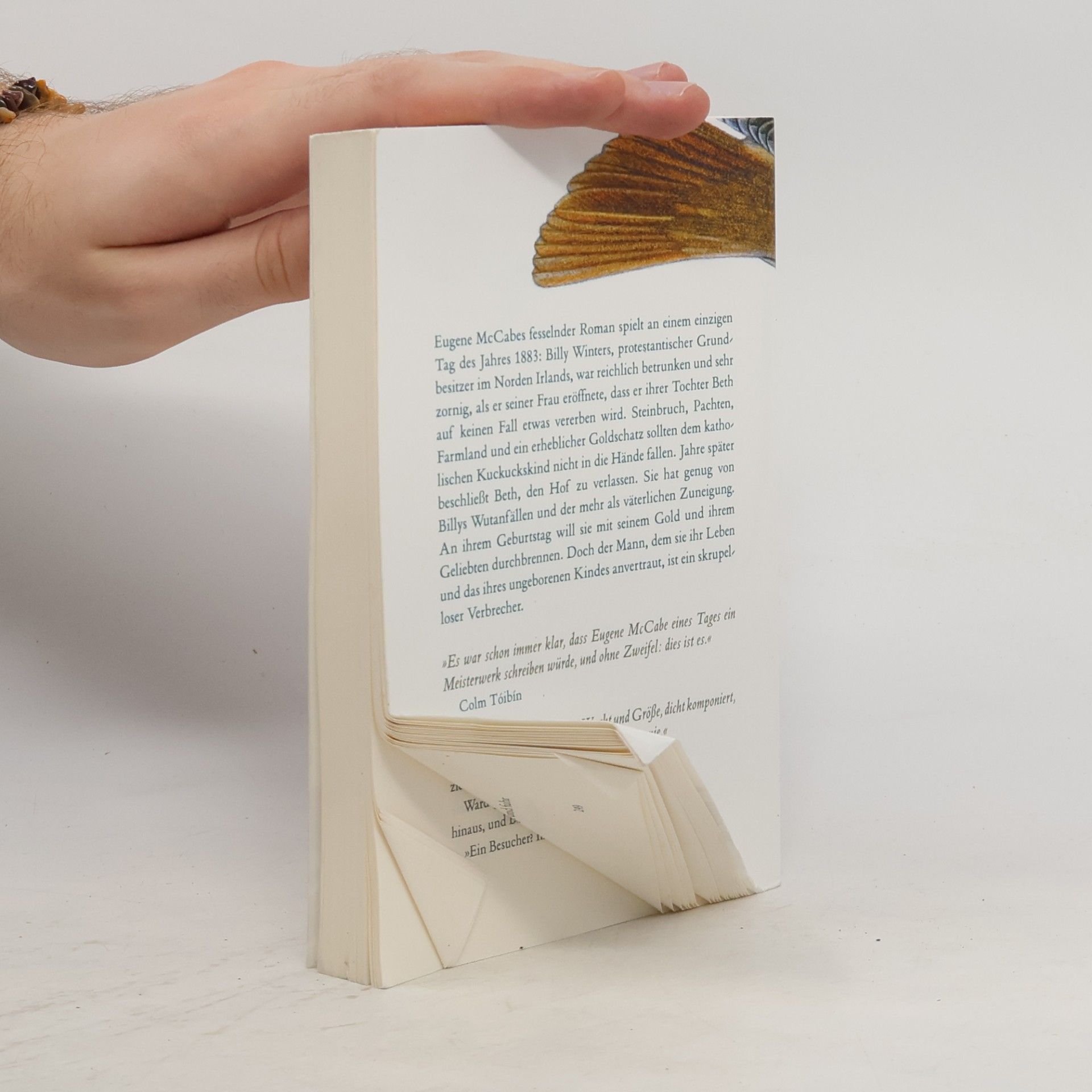 Eugene McCabe Tod und Nachtigallen (Steidl Pocket)