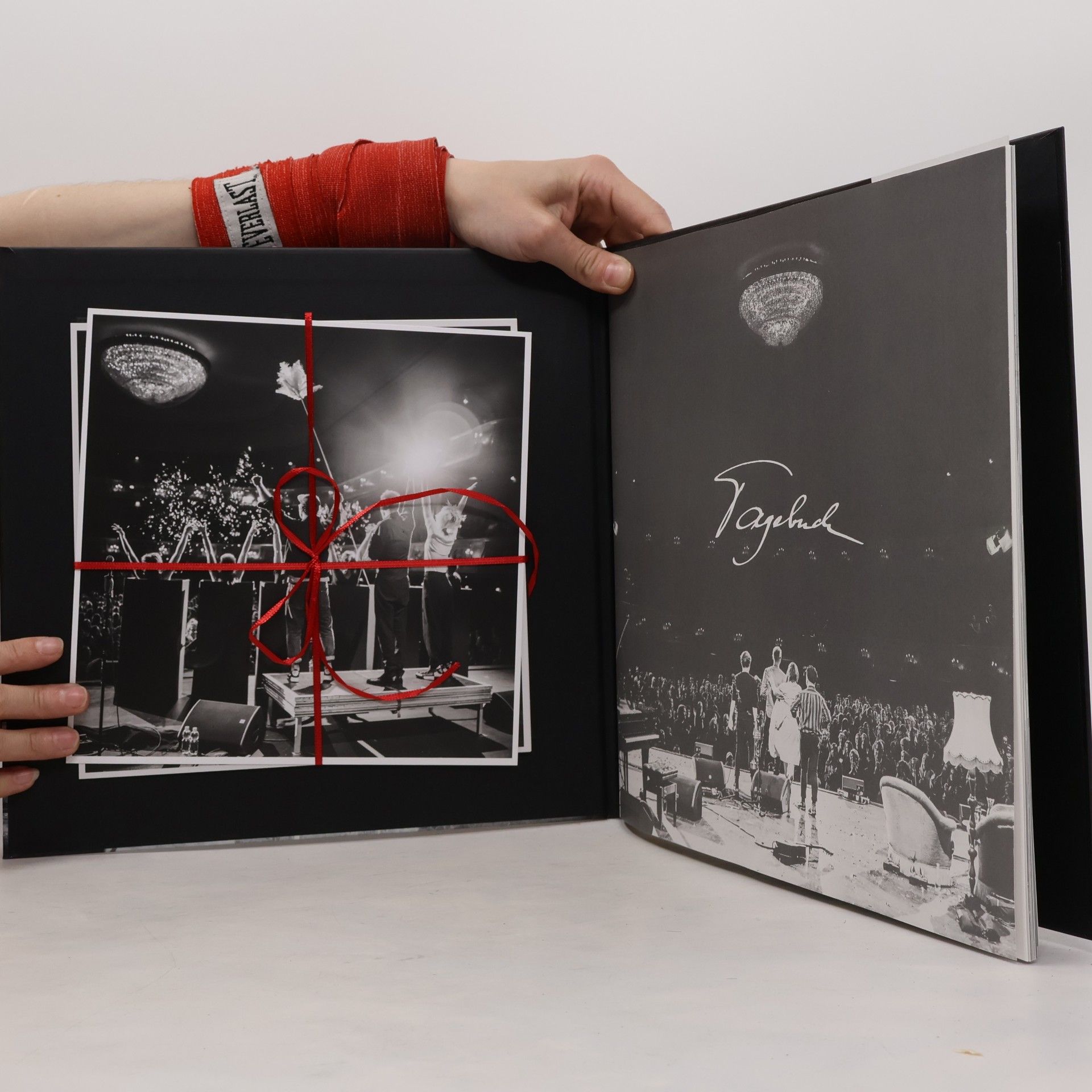 Collectif d'auteurs Tagebuch