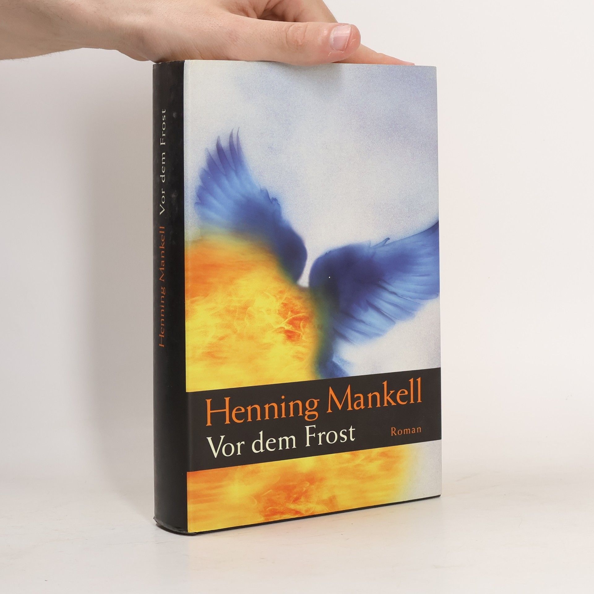 Henning Mankell Vor dem Frost