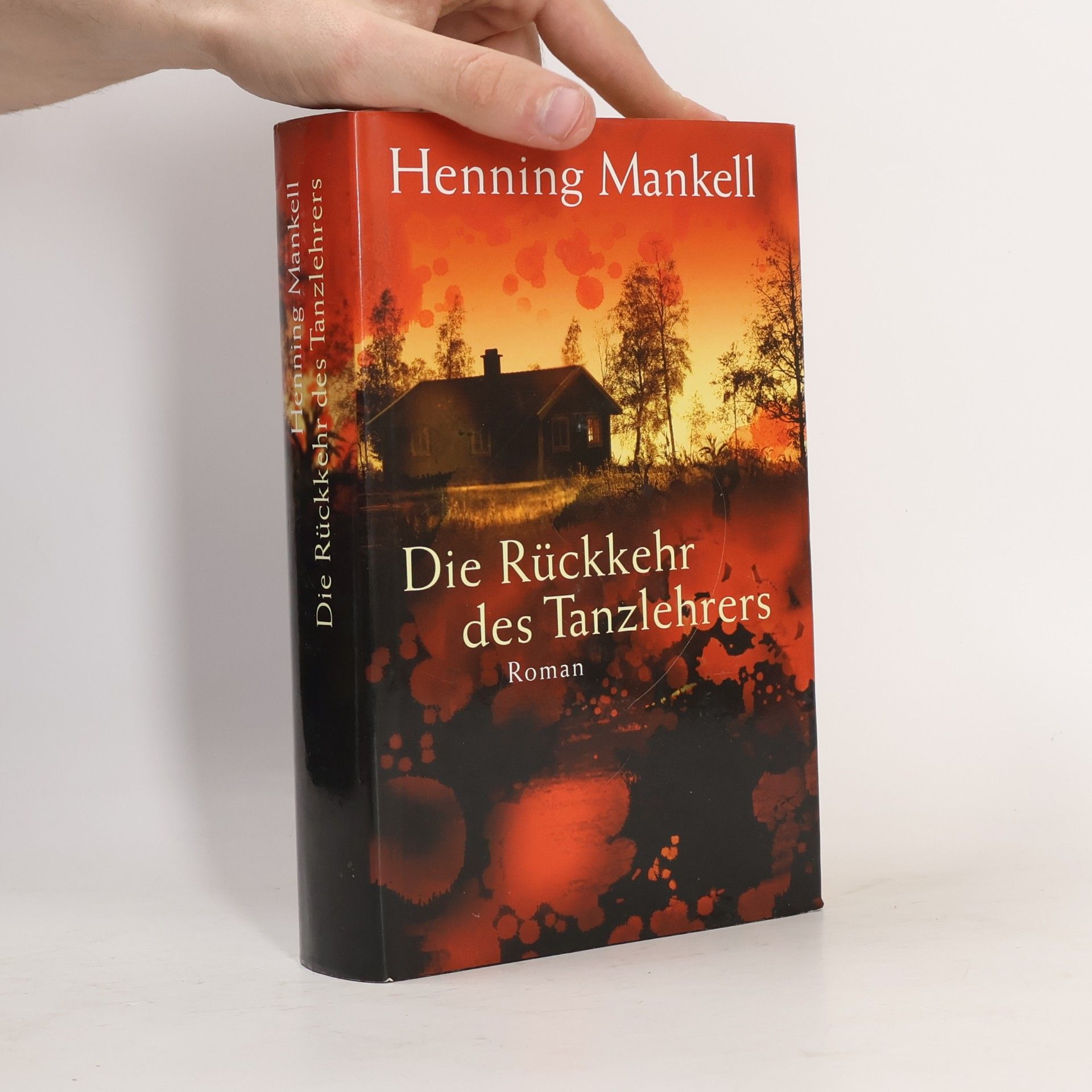 Henning Mankell Die Rückkehr des Tanzlehrers