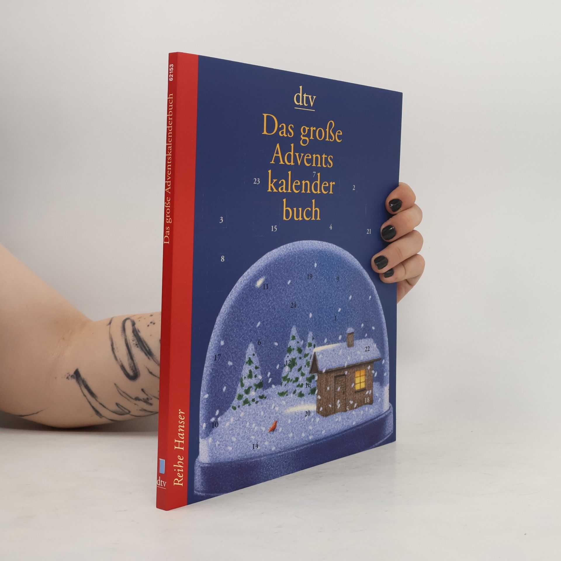 Das große Adventskalenderbuch