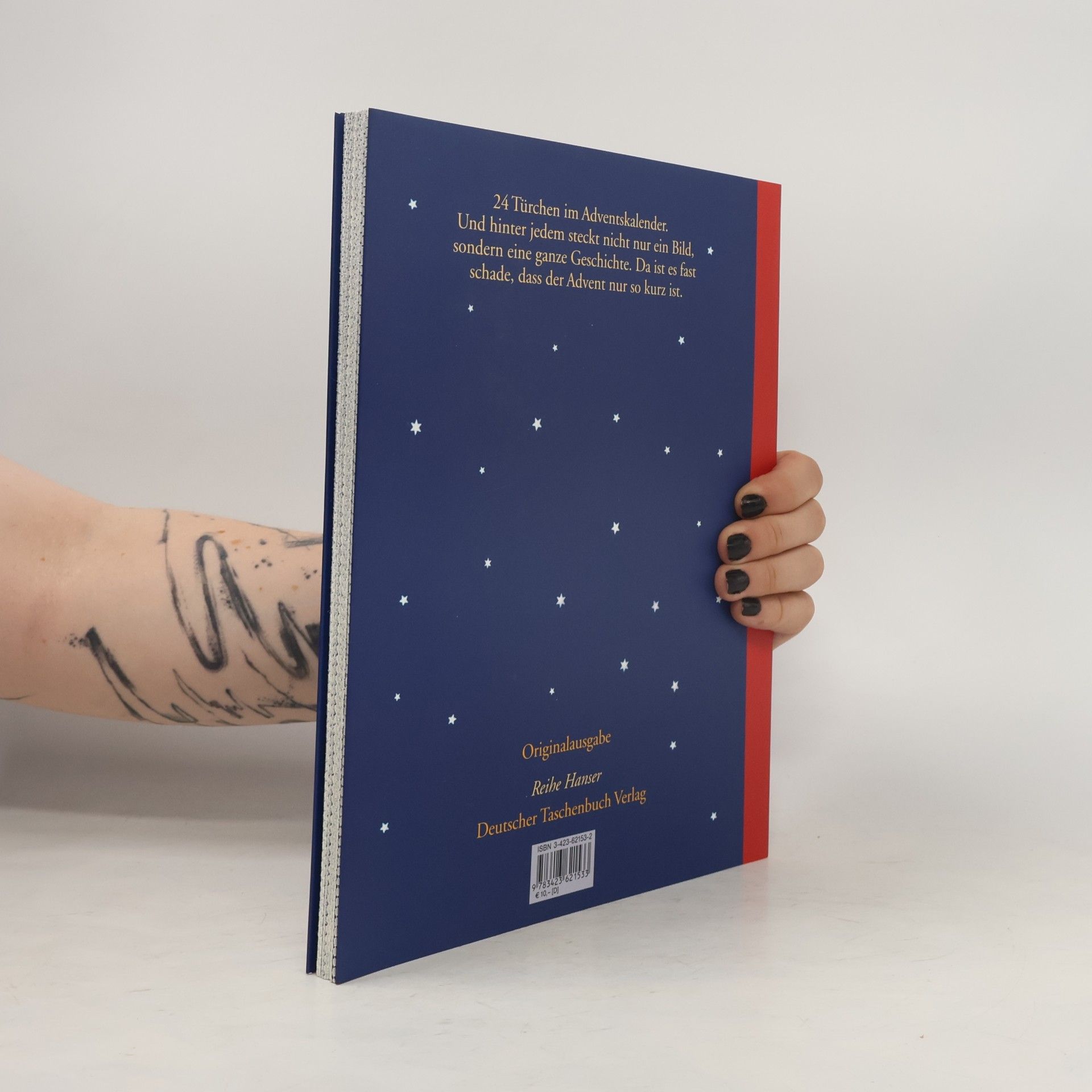 Quint Buchholz Das große Adventskalenderbuch