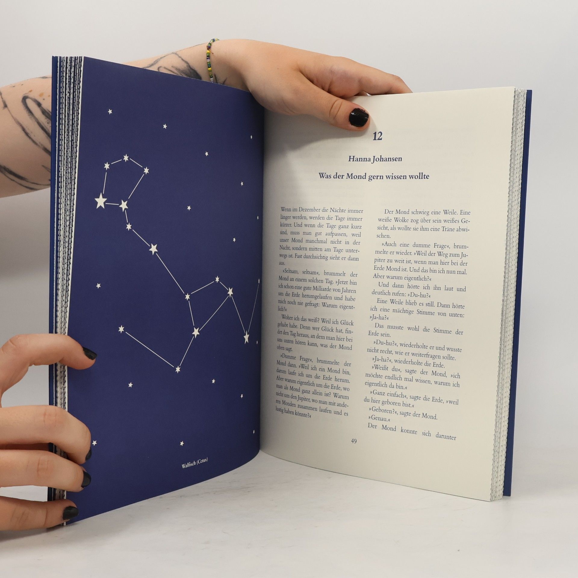 Quint Buchholz Das große Adventskalenderbuch