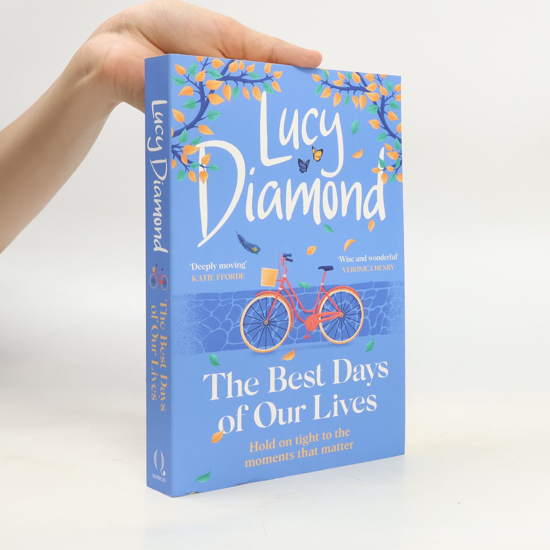 Lucy Diamond Best Days of Our Lives