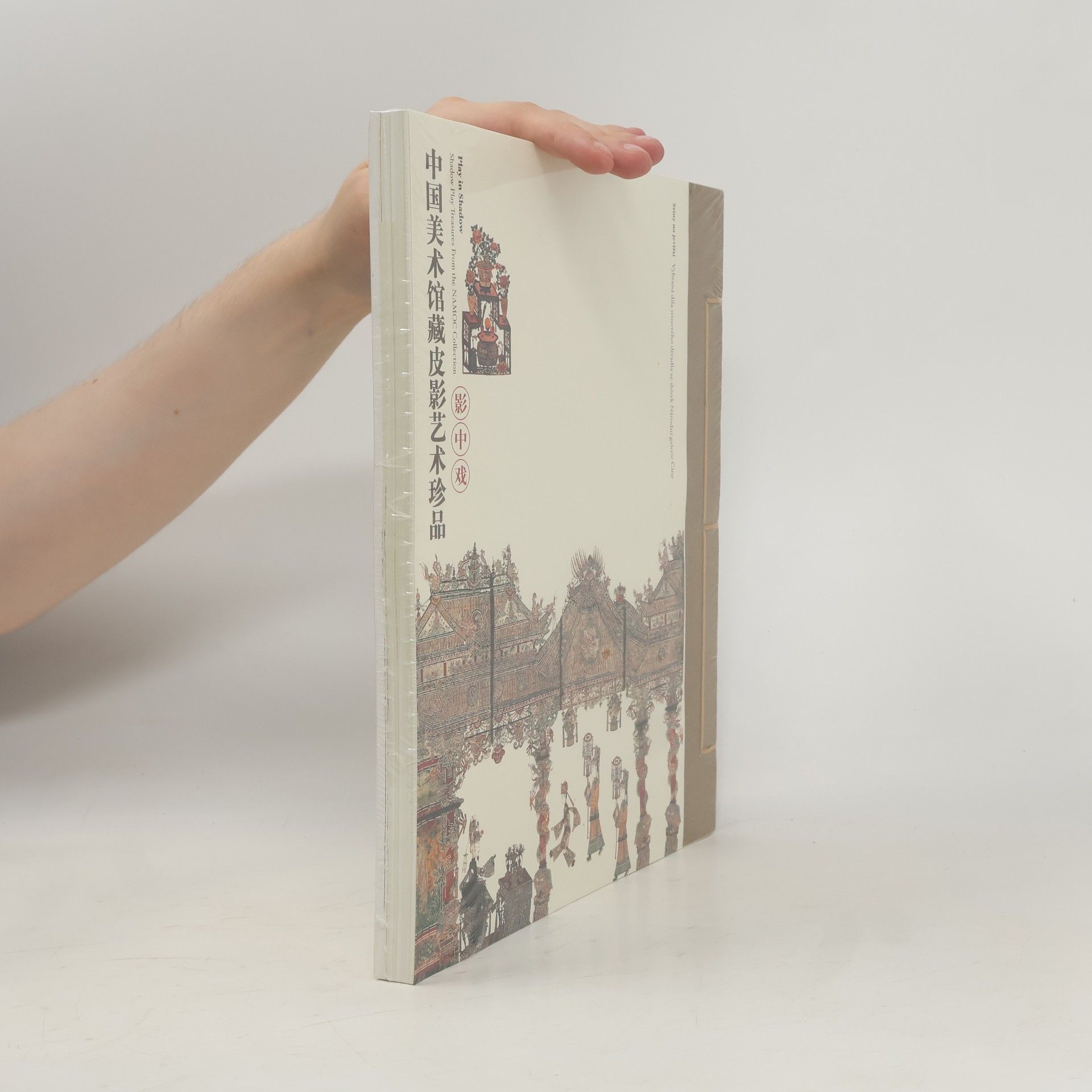 Various authors 在阴影中 / Play in Shadow