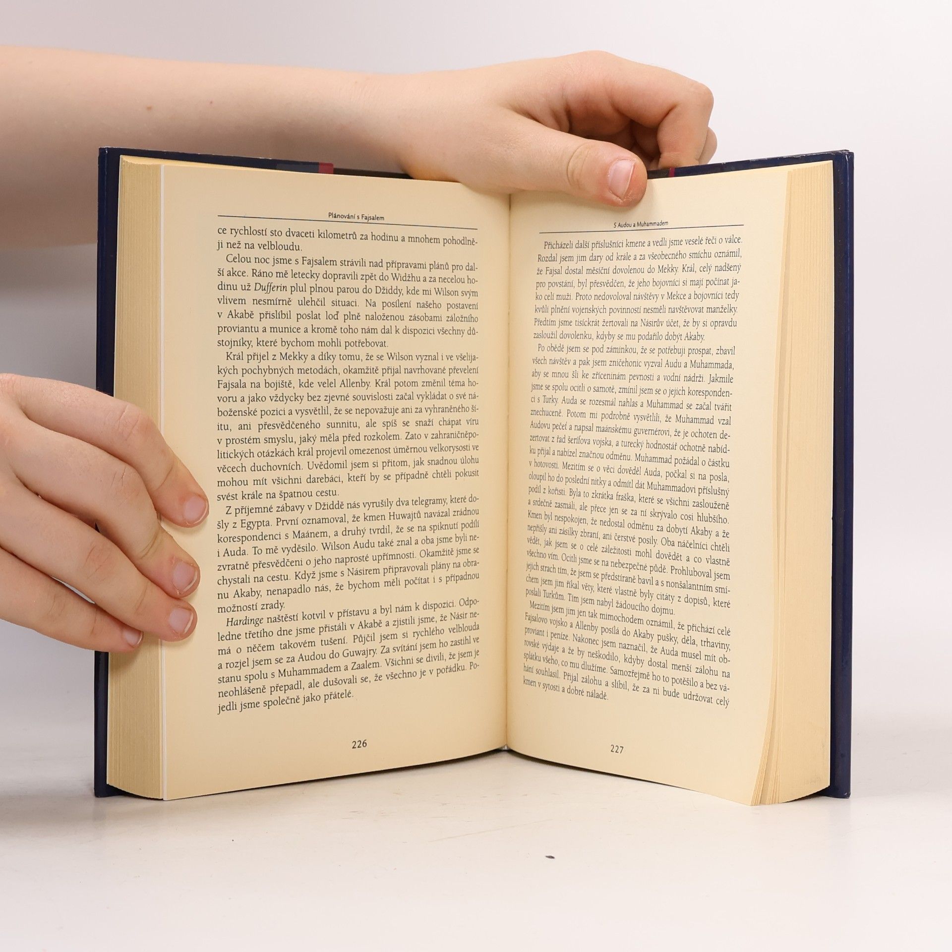 T. E. Lawrence Sedm sloupů moudrosti : historie jednoho triumfu
