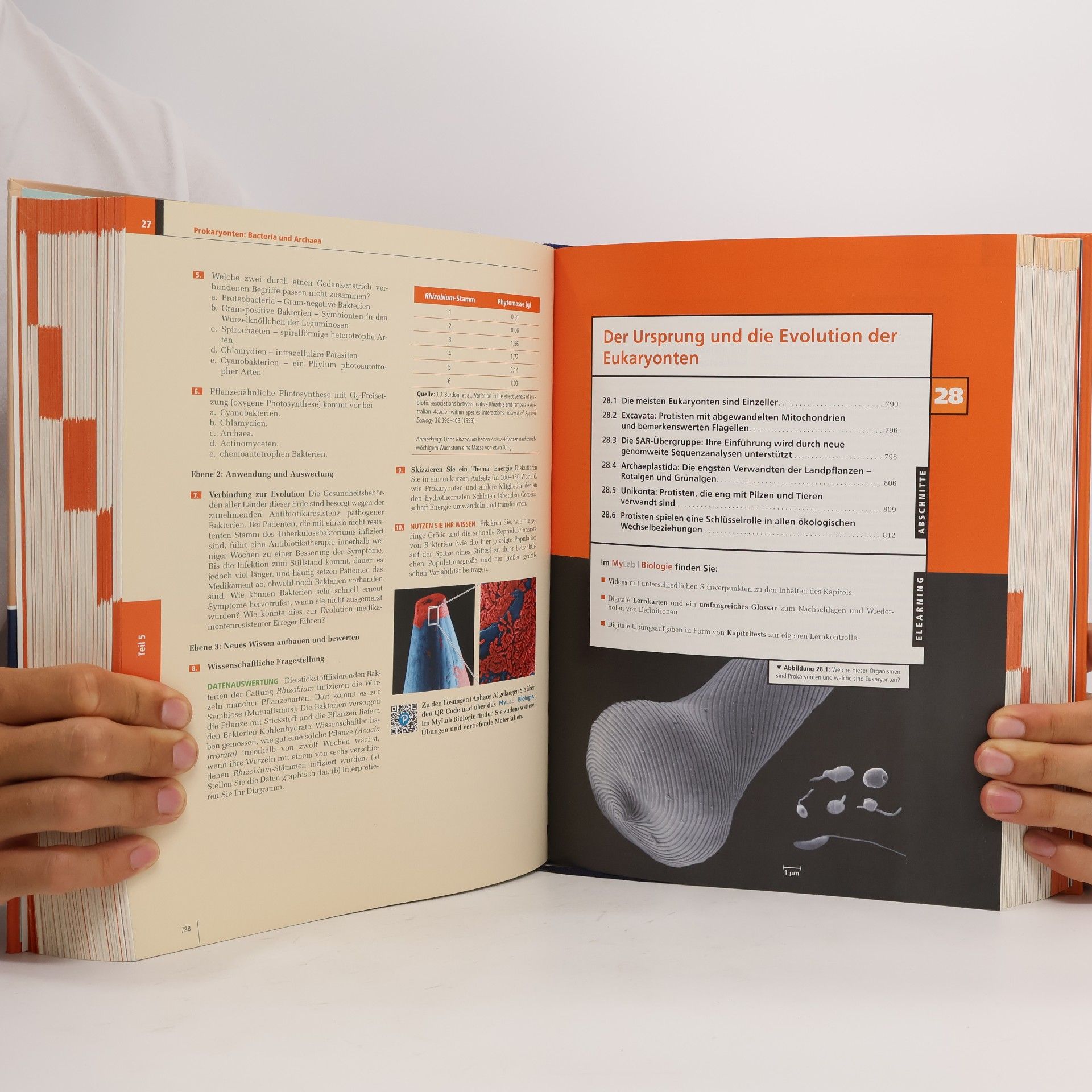 Neil A. Campbell Biologie