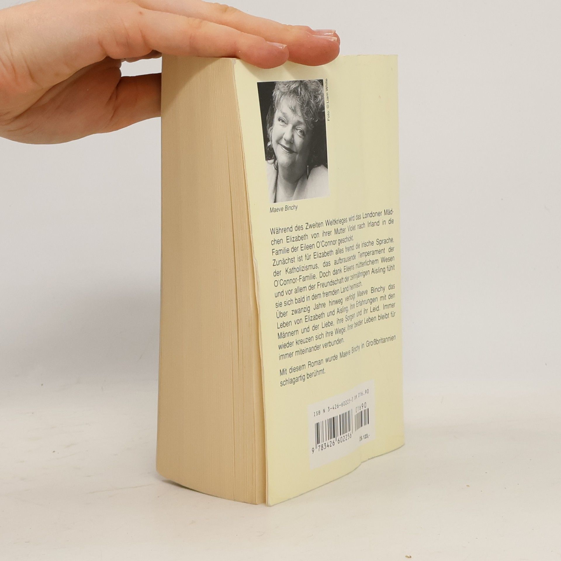 Maeve Binchy Irische Freundschaften