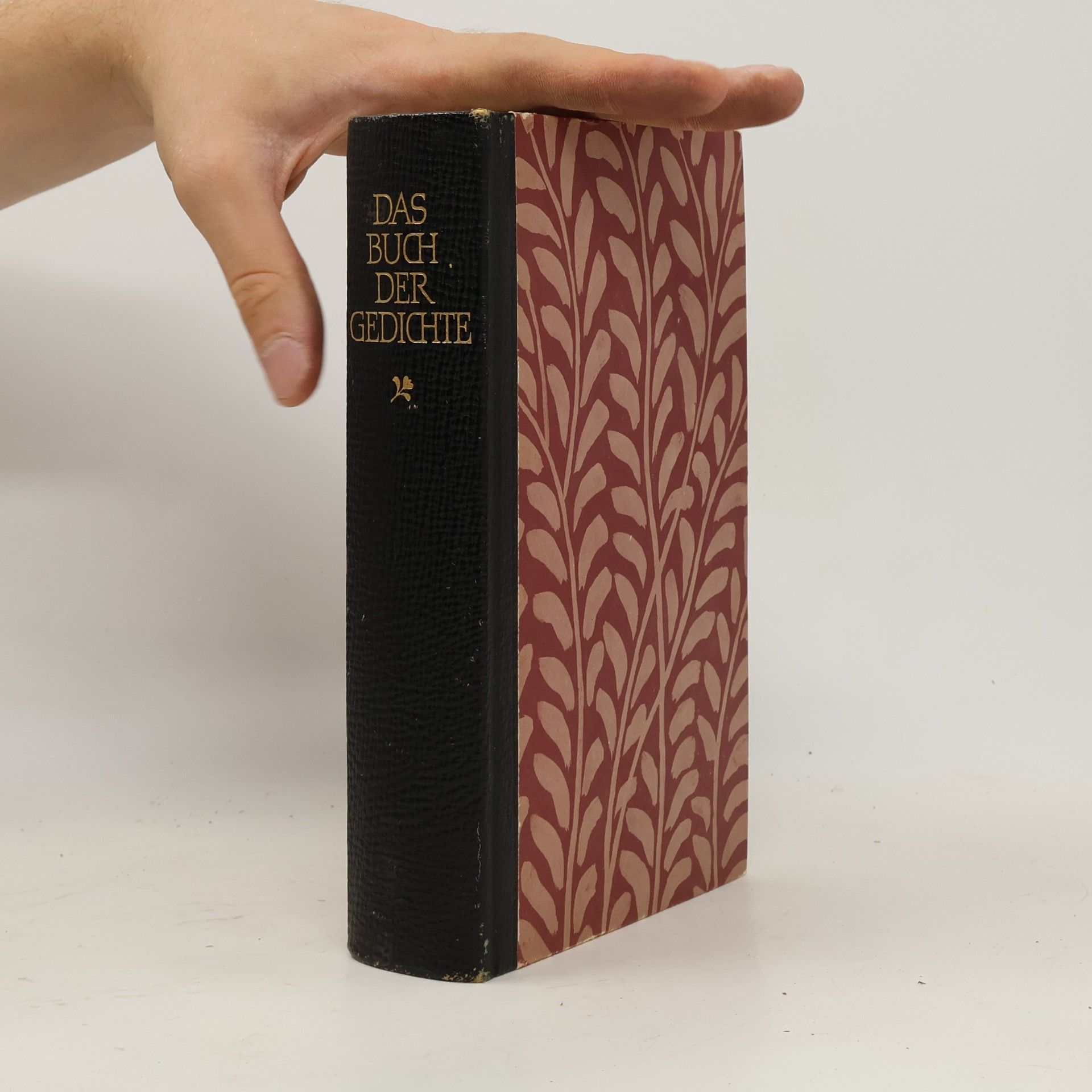 Marianne Hochhuth Das Buch der Gedichte