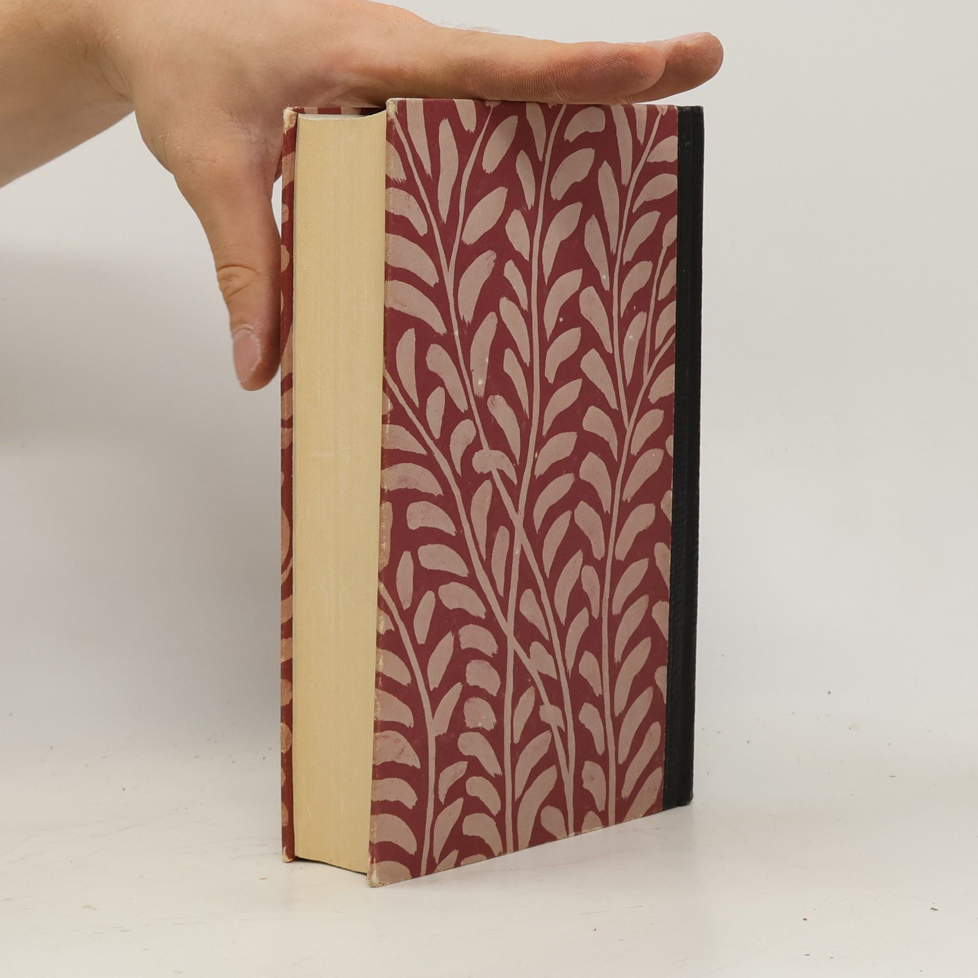 Marianne Hochhuth Das Buch der Gedichte