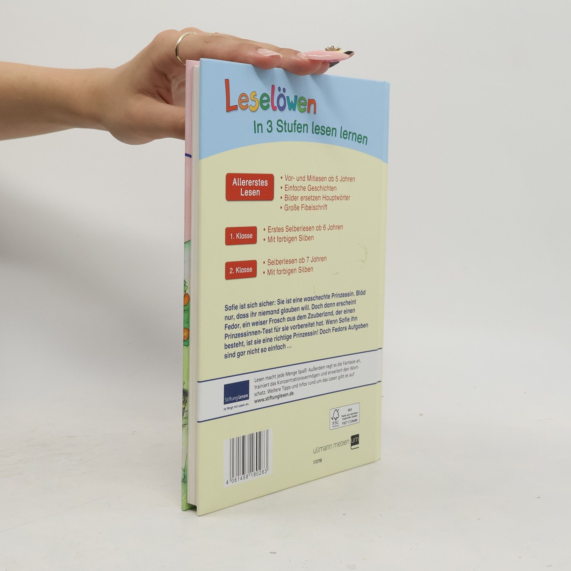 Autorenkollektiv Leselöwen: Prinzessinnengeschichten