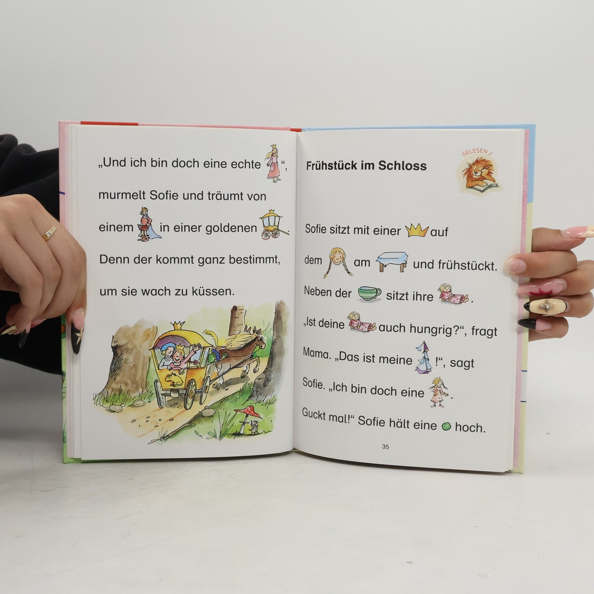 Autorenkollektiv Leselöwen: Prinzessinnengeschichten