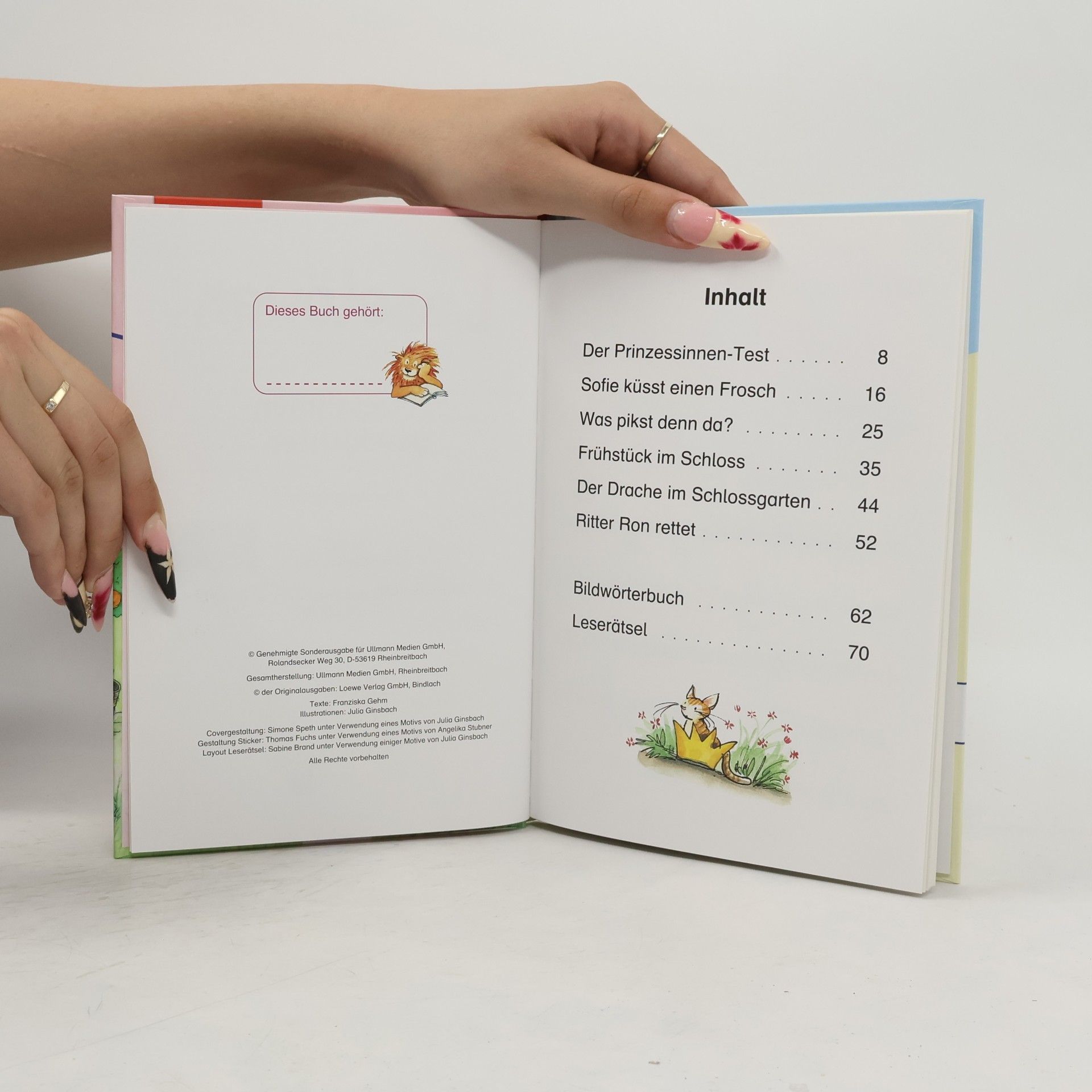 Autorenkollektiv Leselöwen: Prinzessinnengeschichten