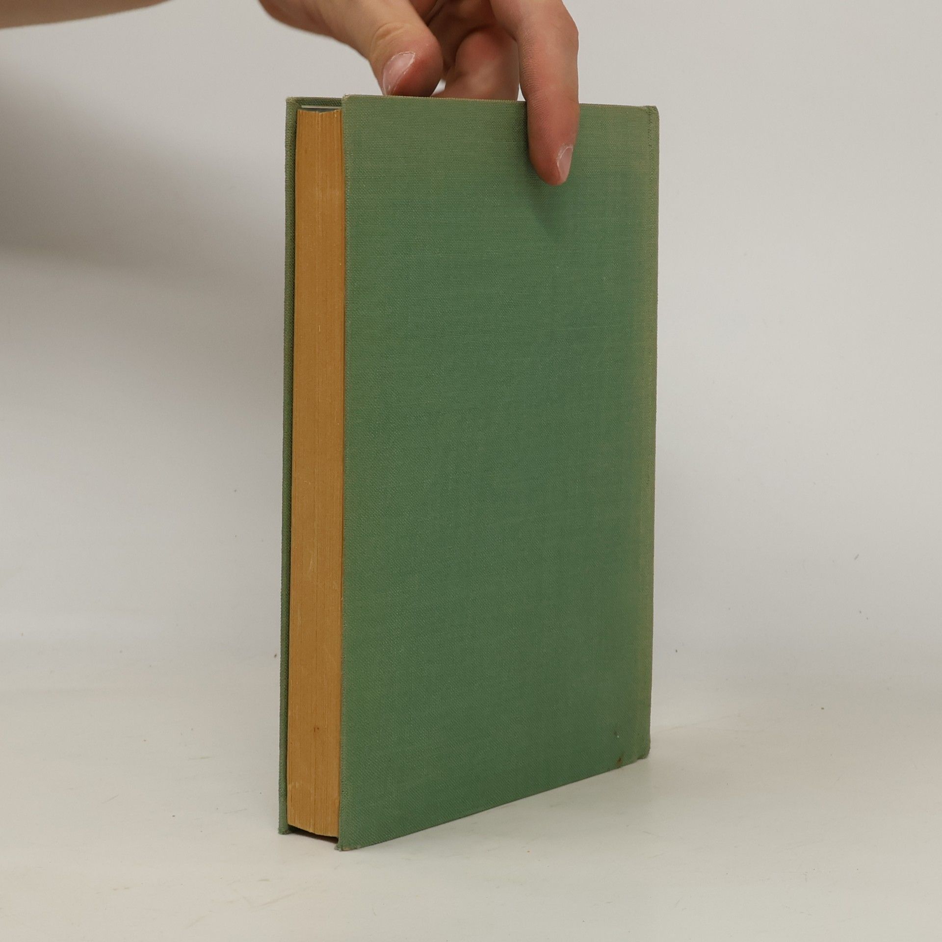 Franz Georg Brustgi Schwäbisches Sagenbuch