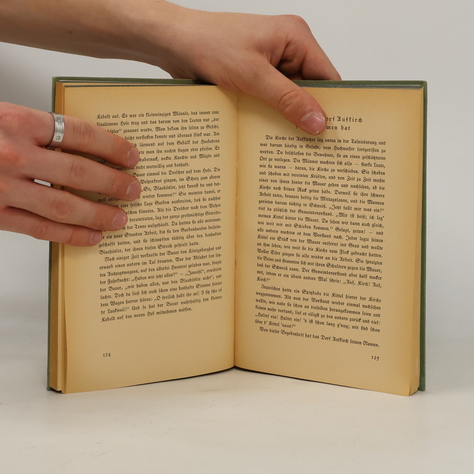 Franz Georg Brustgi Schwäbisches Sagenbuch