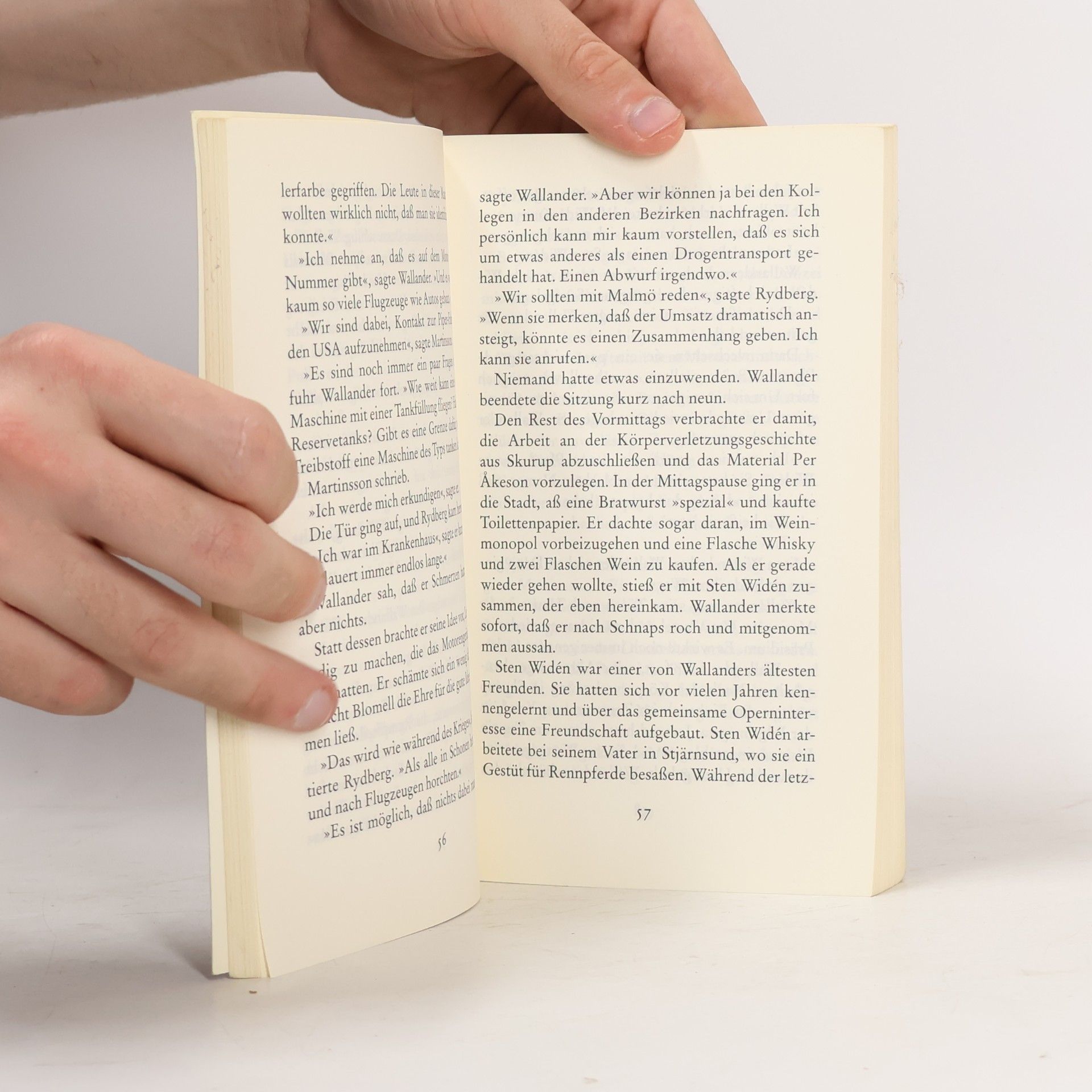 Henning Mankell Die Pyramide