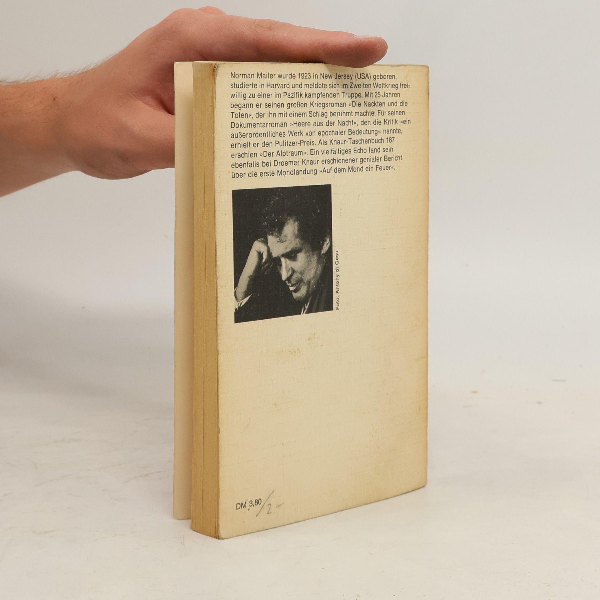 Norman Mailer Am Beispiel einer Bärenjagd