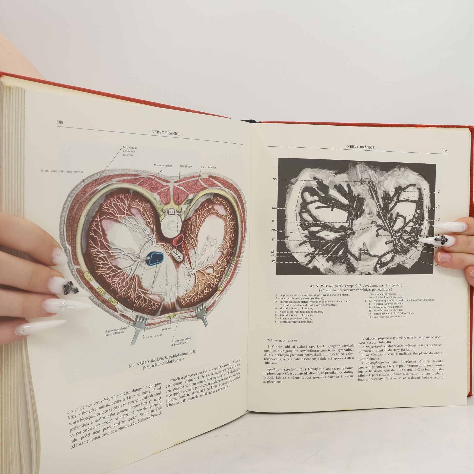 R. D. Sinělnikov Atlas anatomie člověka III. díl