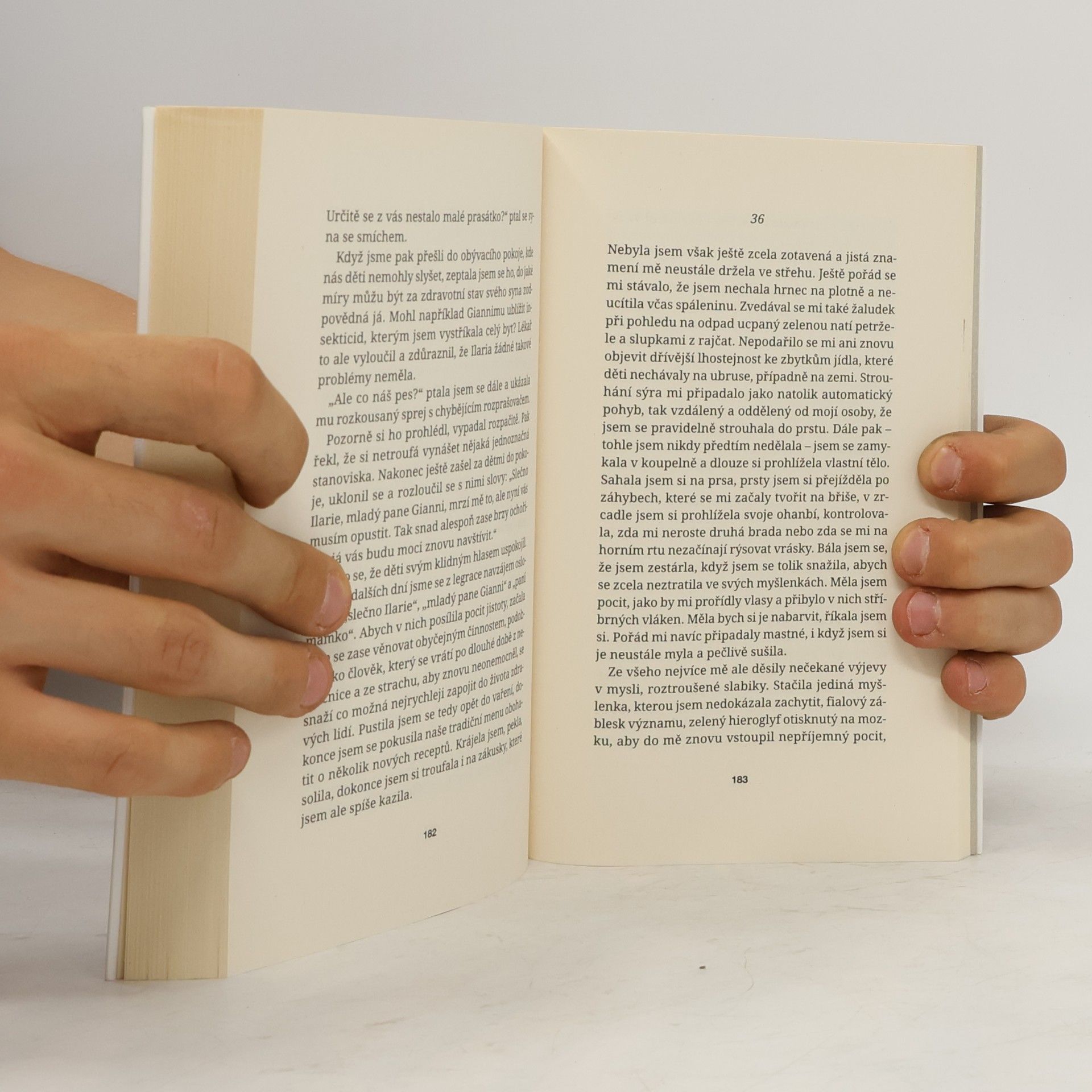Elena Ferrante Dny opuštění