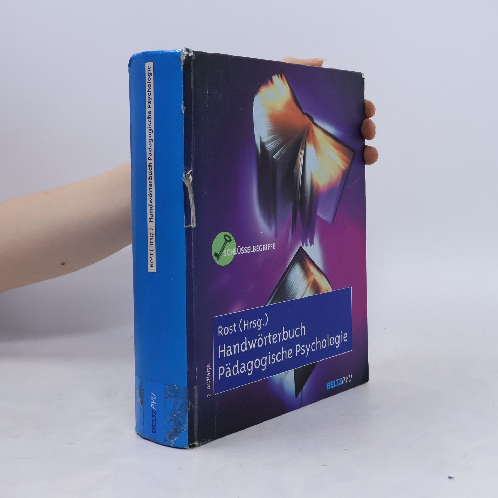 Detlef Rost Handwörterbuch pädagogische Psychologie