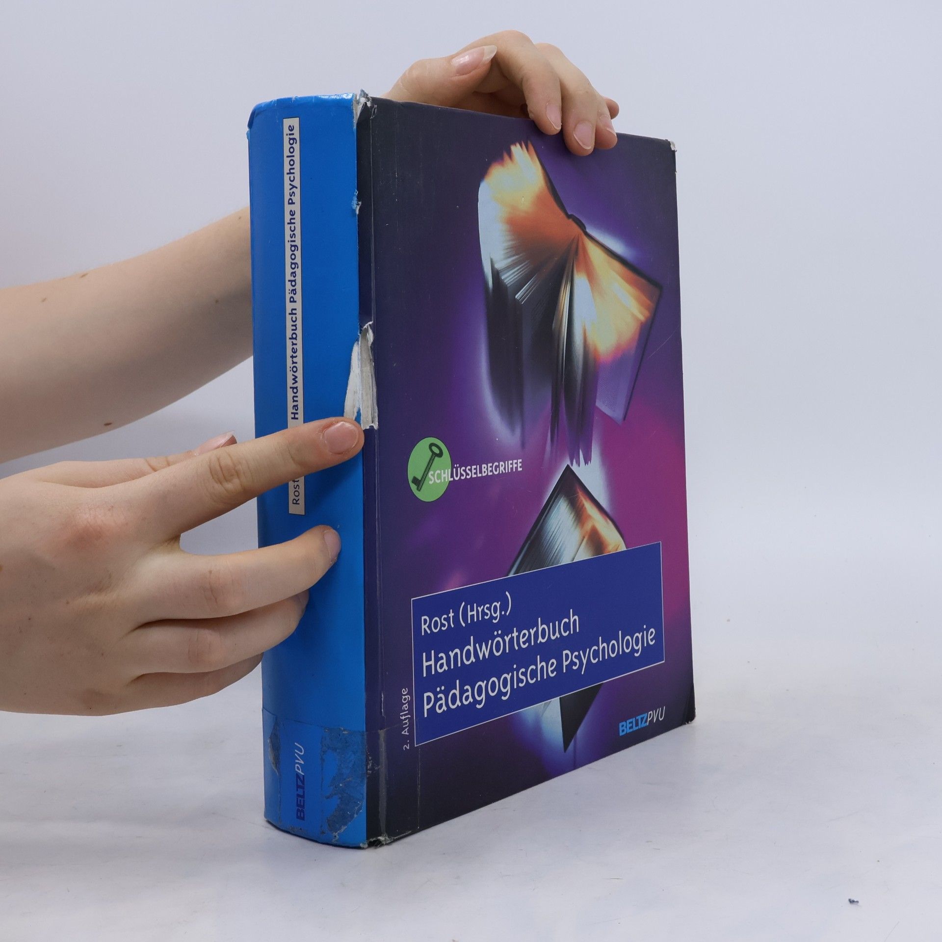 Detlef Rost Handwörterbuch pädagogische Psychologie