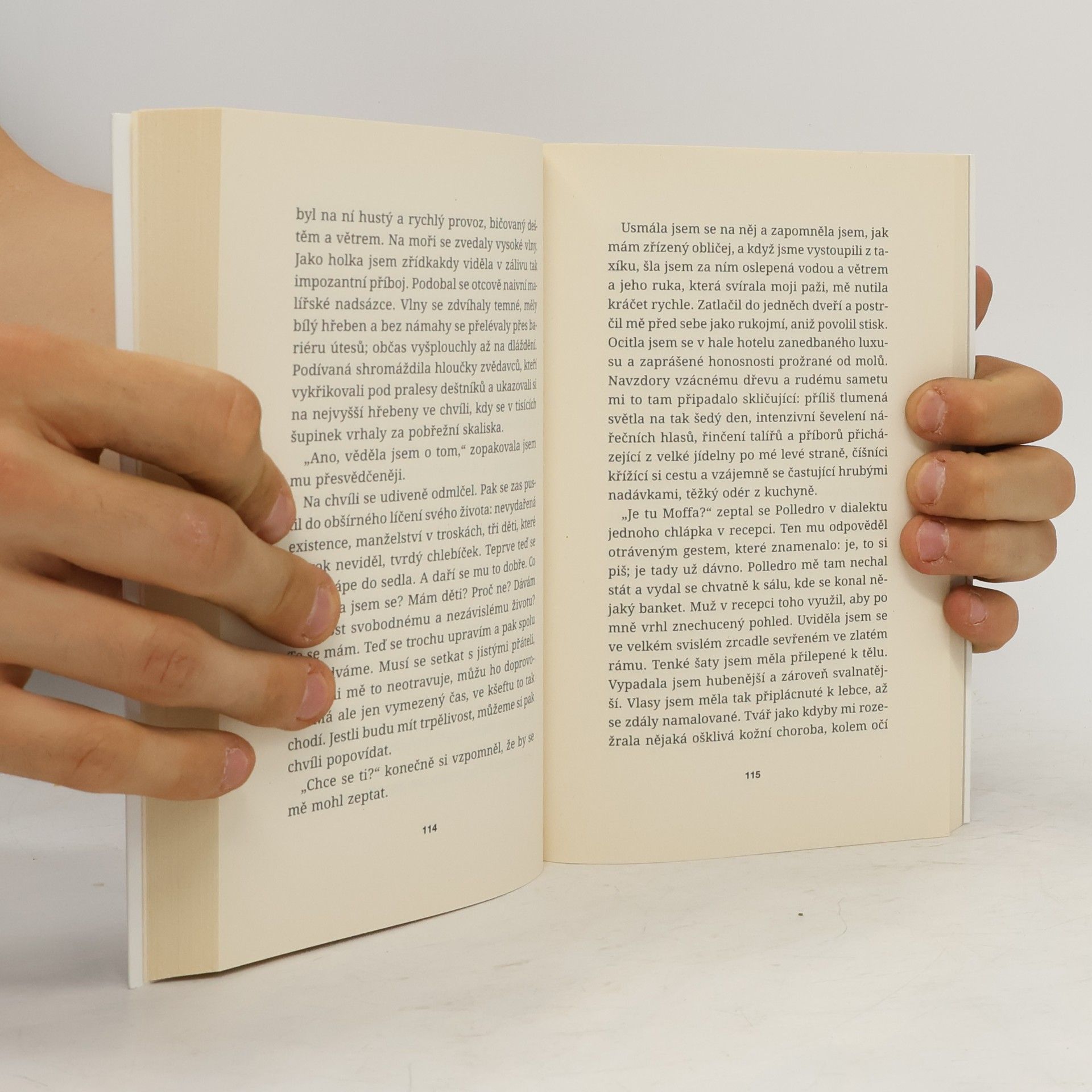 Elena Ferrante Tíživá láska
