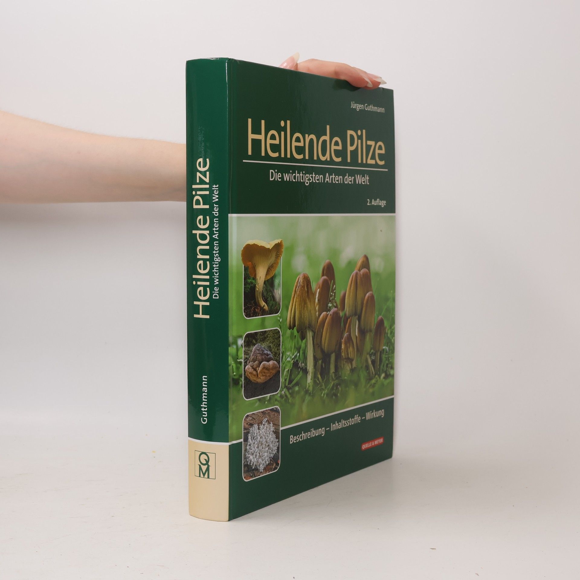 Jürgen Guthmann Heilende Pilze
