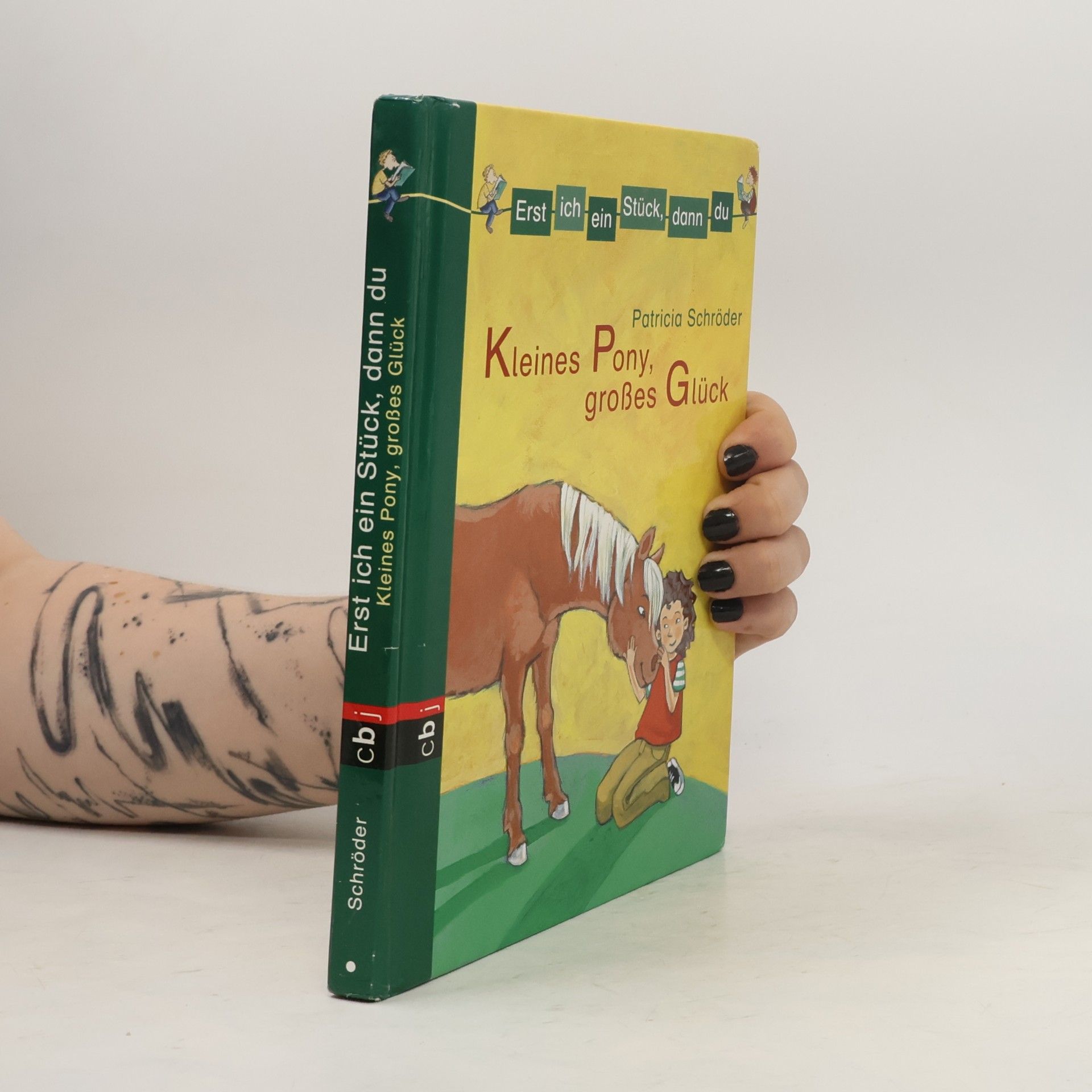 Patricia Schröder Kleines Pony, großes Glück