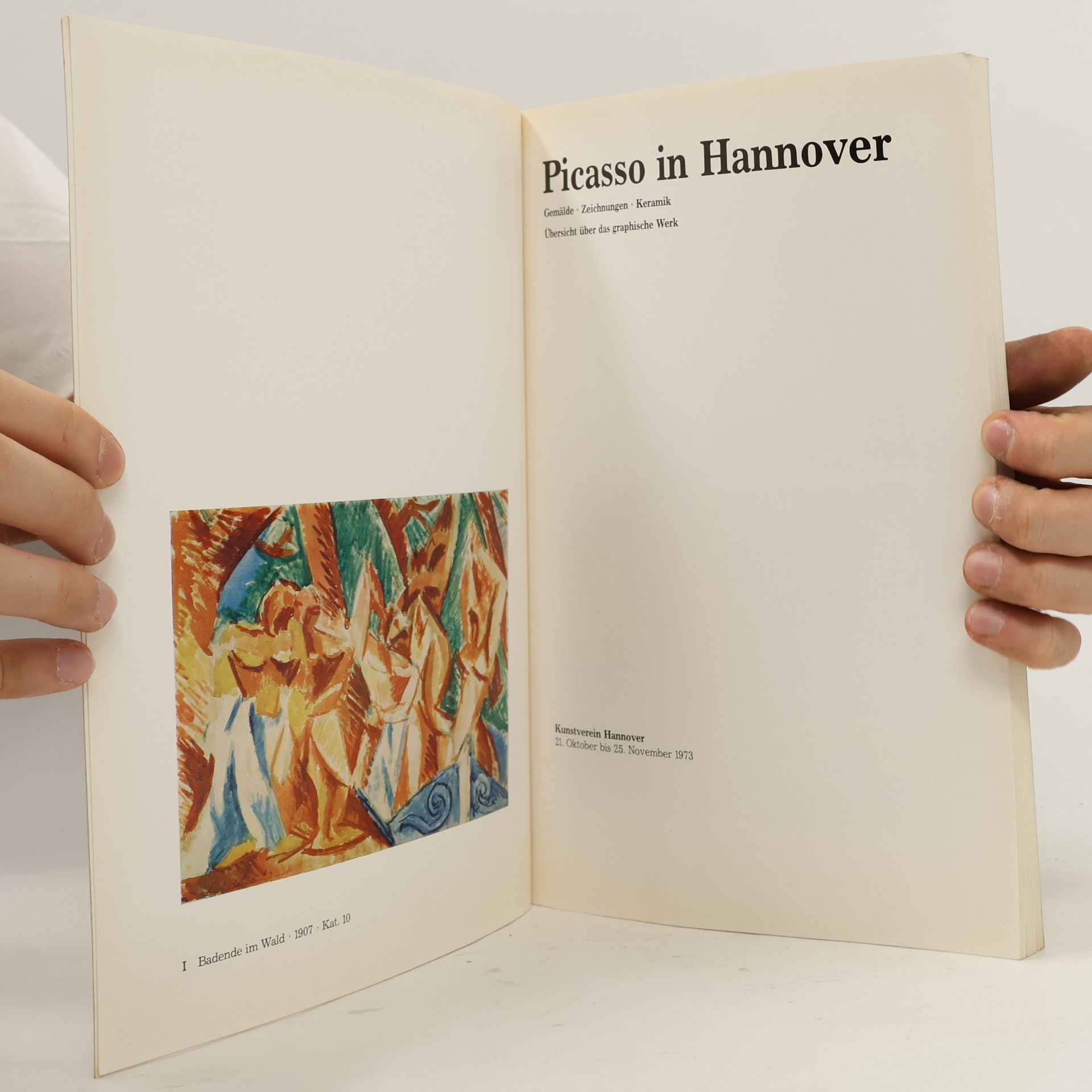 Autorenkollektiv Picasso in Hannover