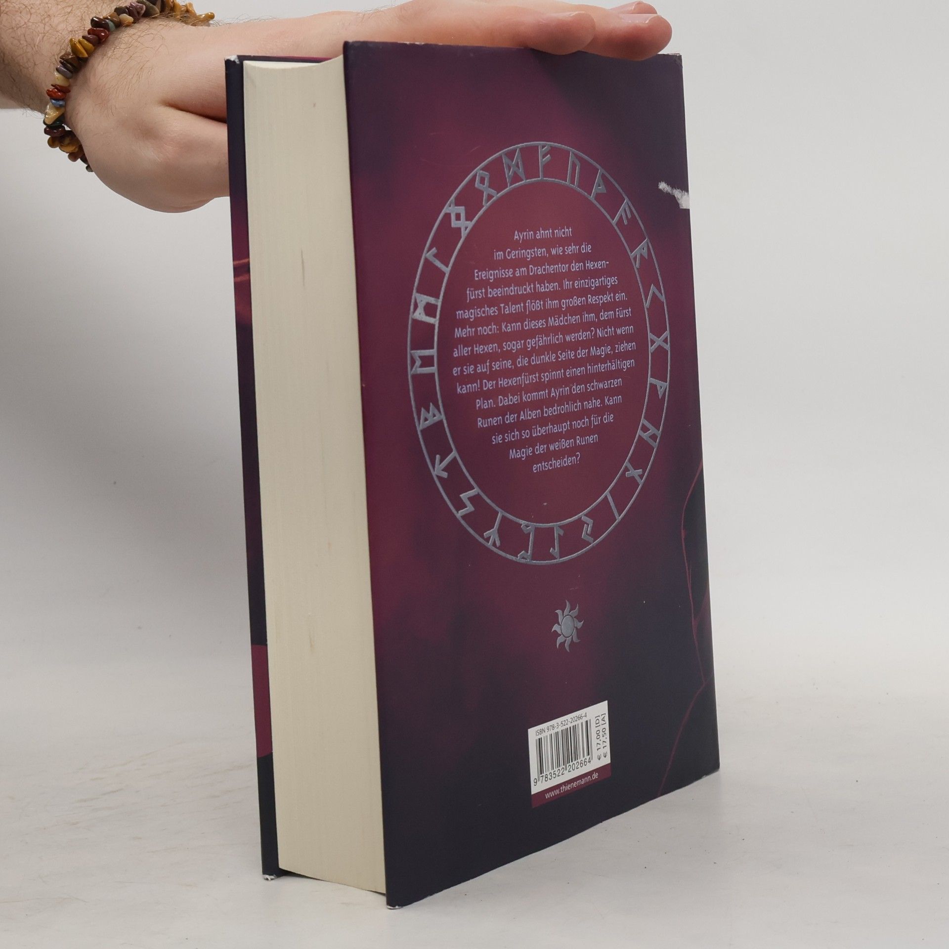 Torsten Fink Die Runenmeisterin. Das Eiserne Buch