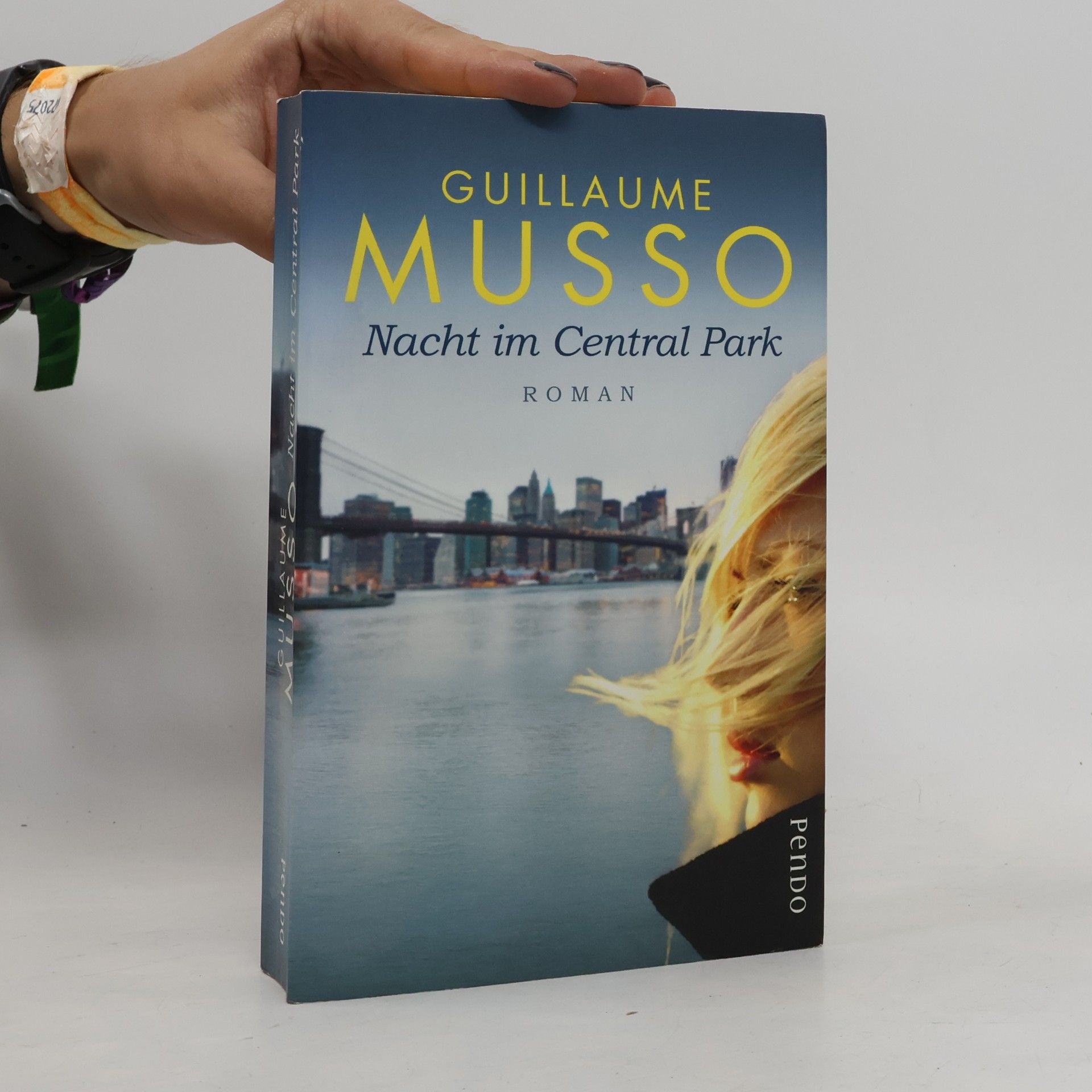 Guillaume Musso Nacht im Central Park