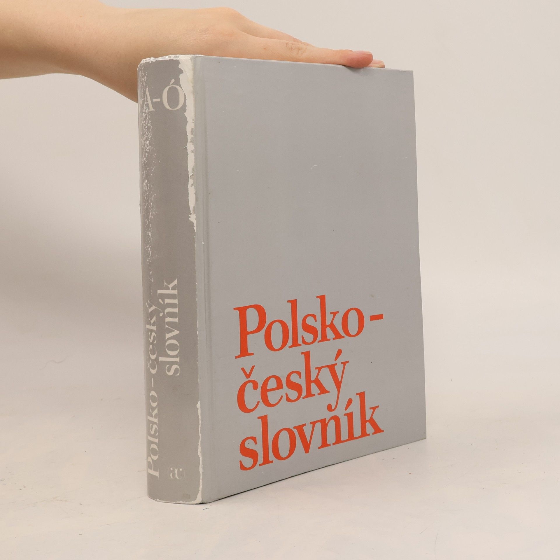 Autorenkollektiv Polsko-český slovník I. A-Ó