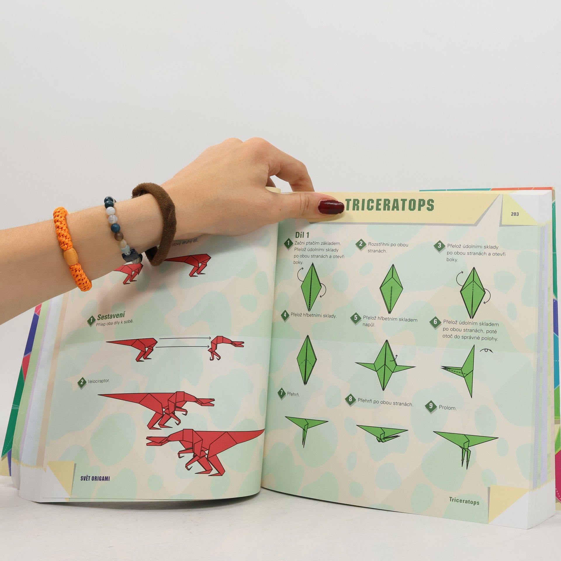 Duy Nguyen Svět origami
