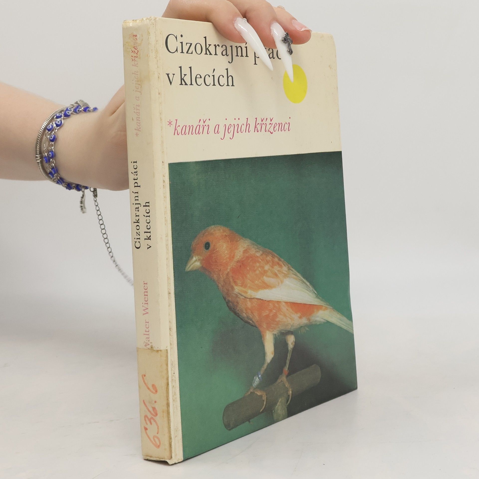 Walter Wiener Cizokrajní ptáci v klecích. Kanáři a jejich kříženci