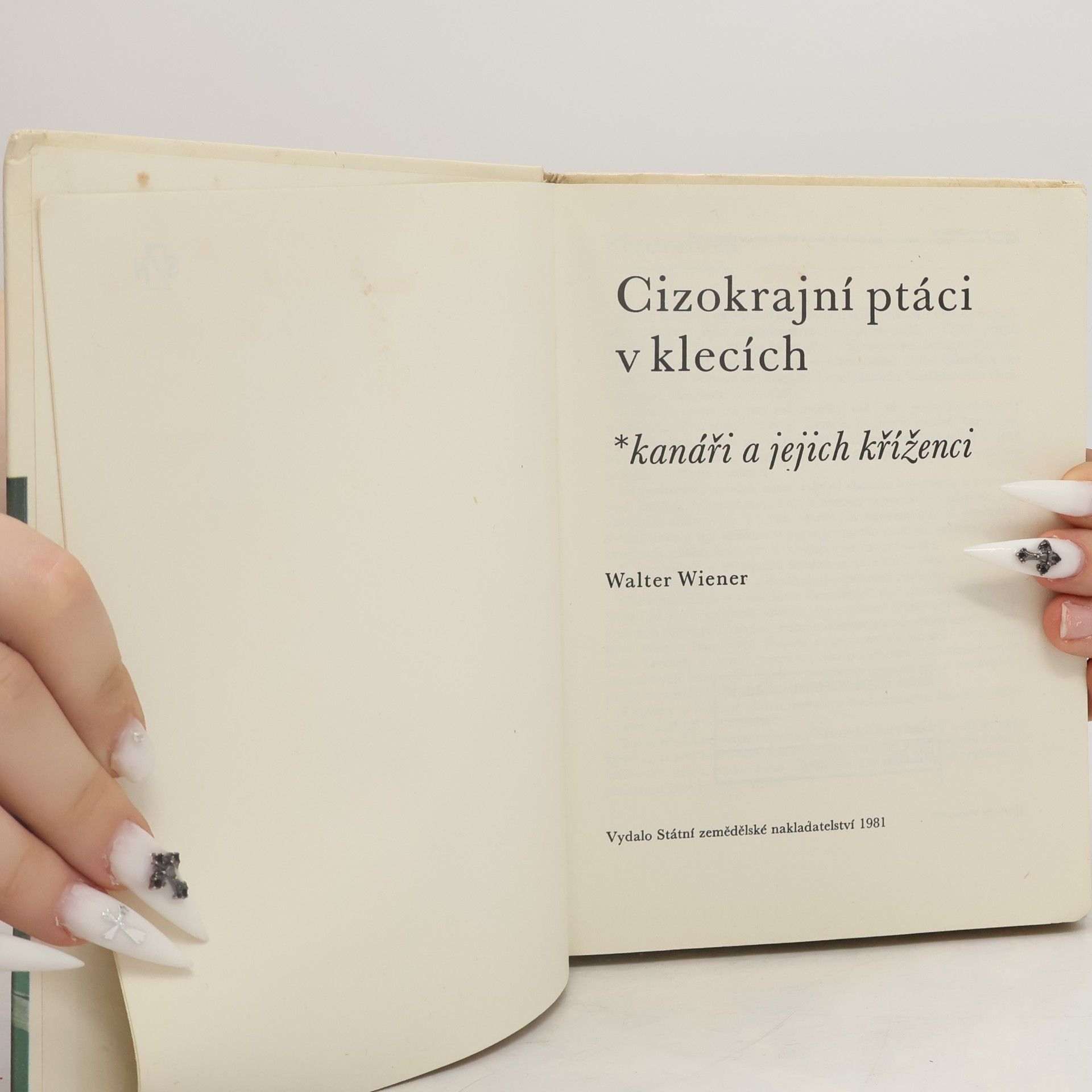 Walter Wiener Cizokrajní ptáci v klecích. Kanáři a jejich kříženci