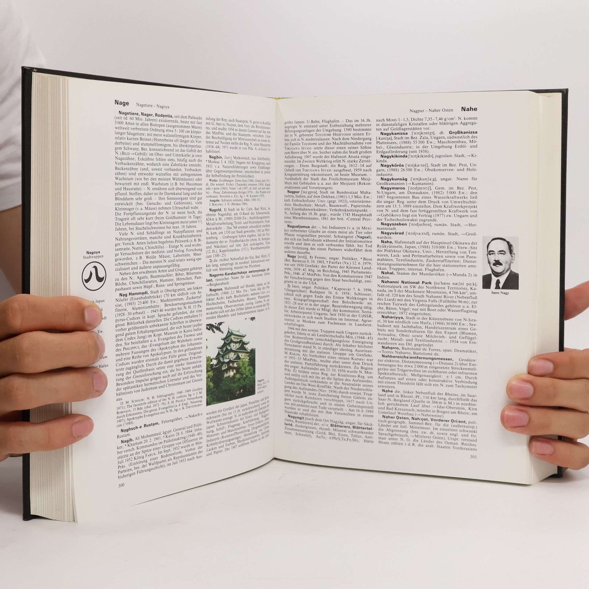 Autorenkollektiv Brockhaus. Enzyklopädie. MOE-NOR. Band 15